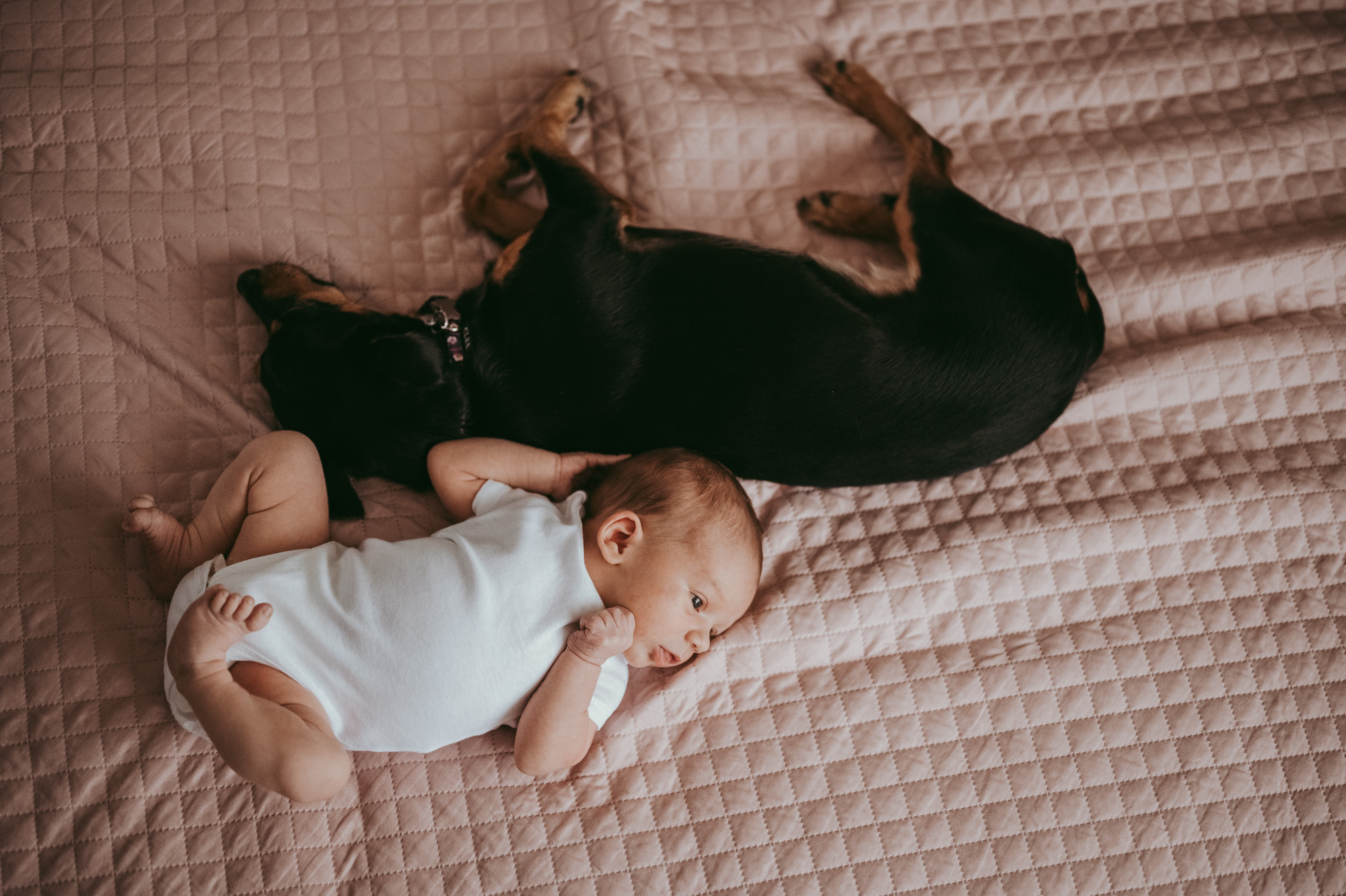 Prvo fotografisanje Lazara. Deciji i porodicni fotograf u Beogradu Oksana Skendzic