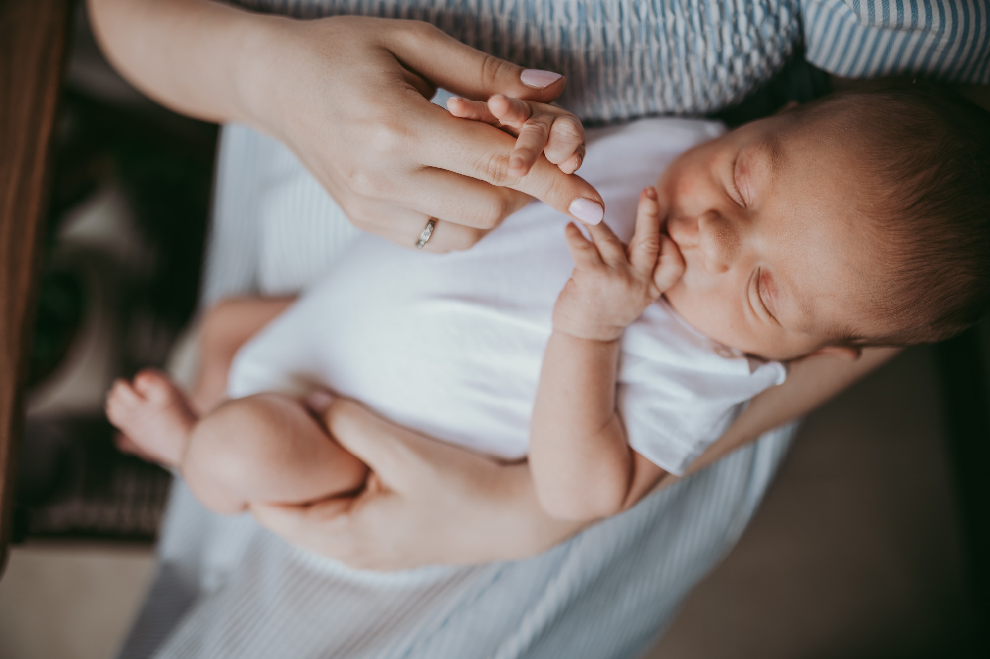 Prvo fotografisanje Lazara. Deciji i porodicni fotograf u Beogradu Oksana Skendzic