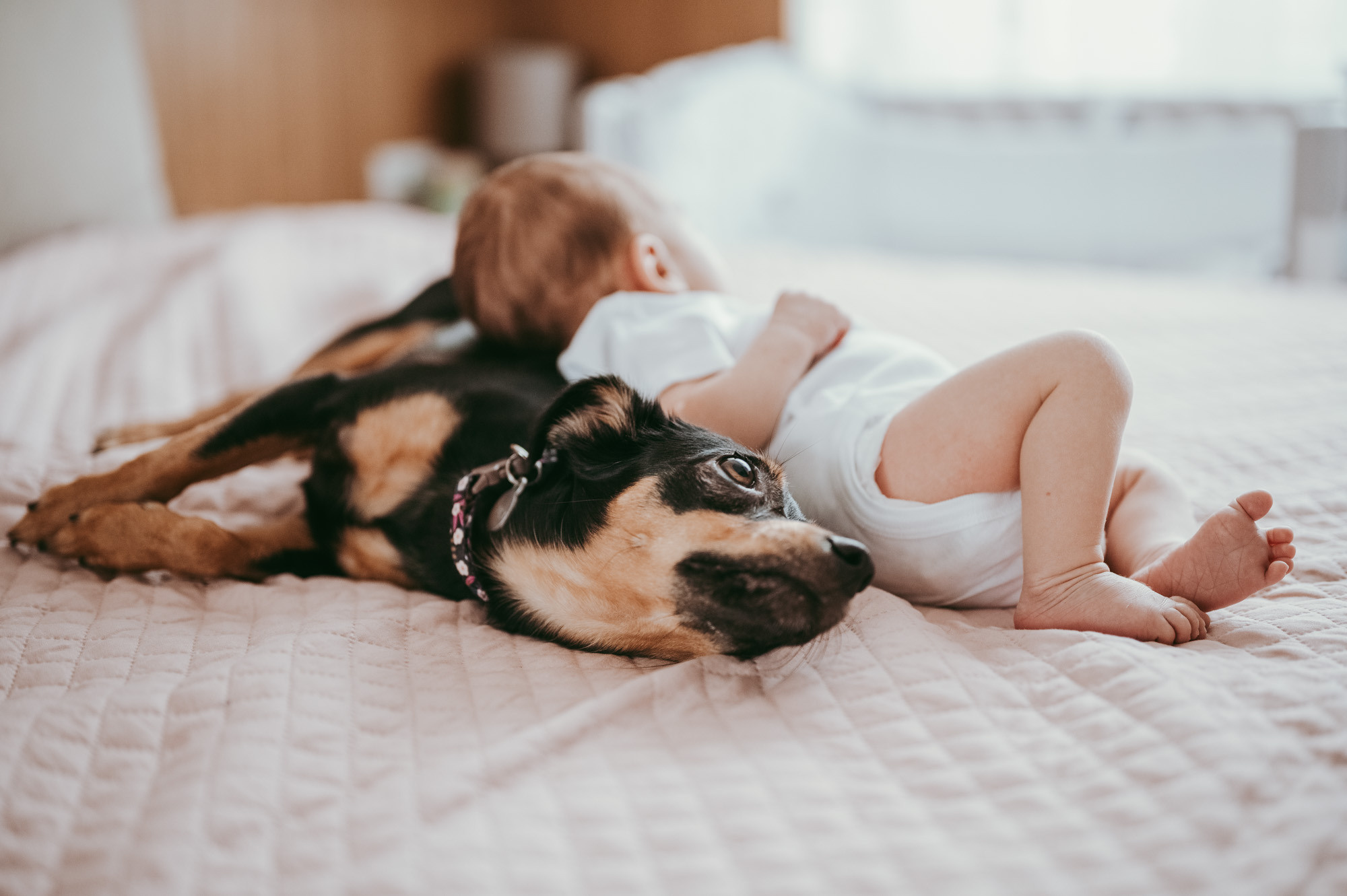 Prvo fotografisanje Lazara. Deciji i porodicni fotograf u Beogradu Oksana Skendzic