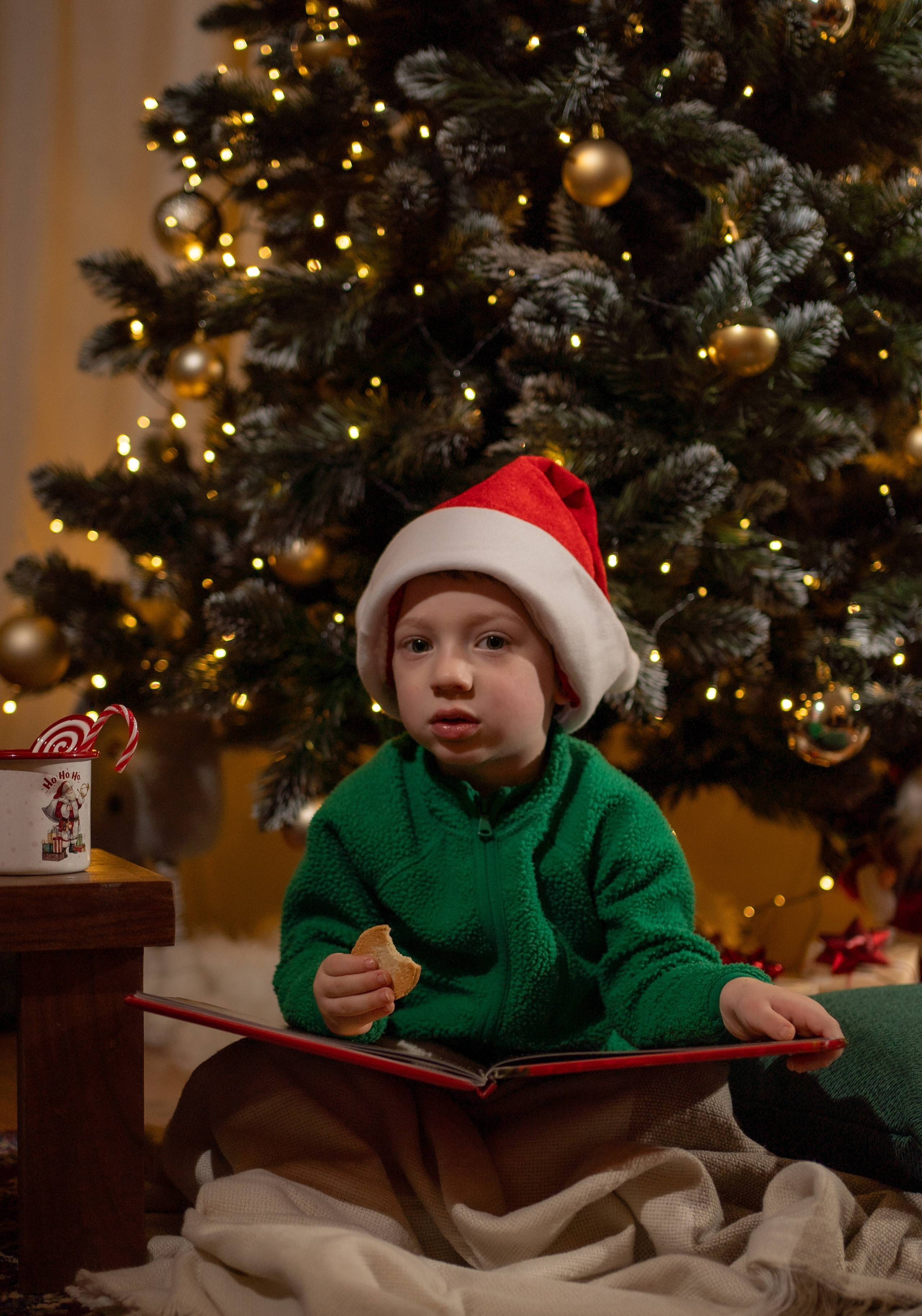 Family Photographer Dublin | Outdoor & InHome Sessions. Newborn, Maternity & Family Photographer Dublin | Ana Boicenco