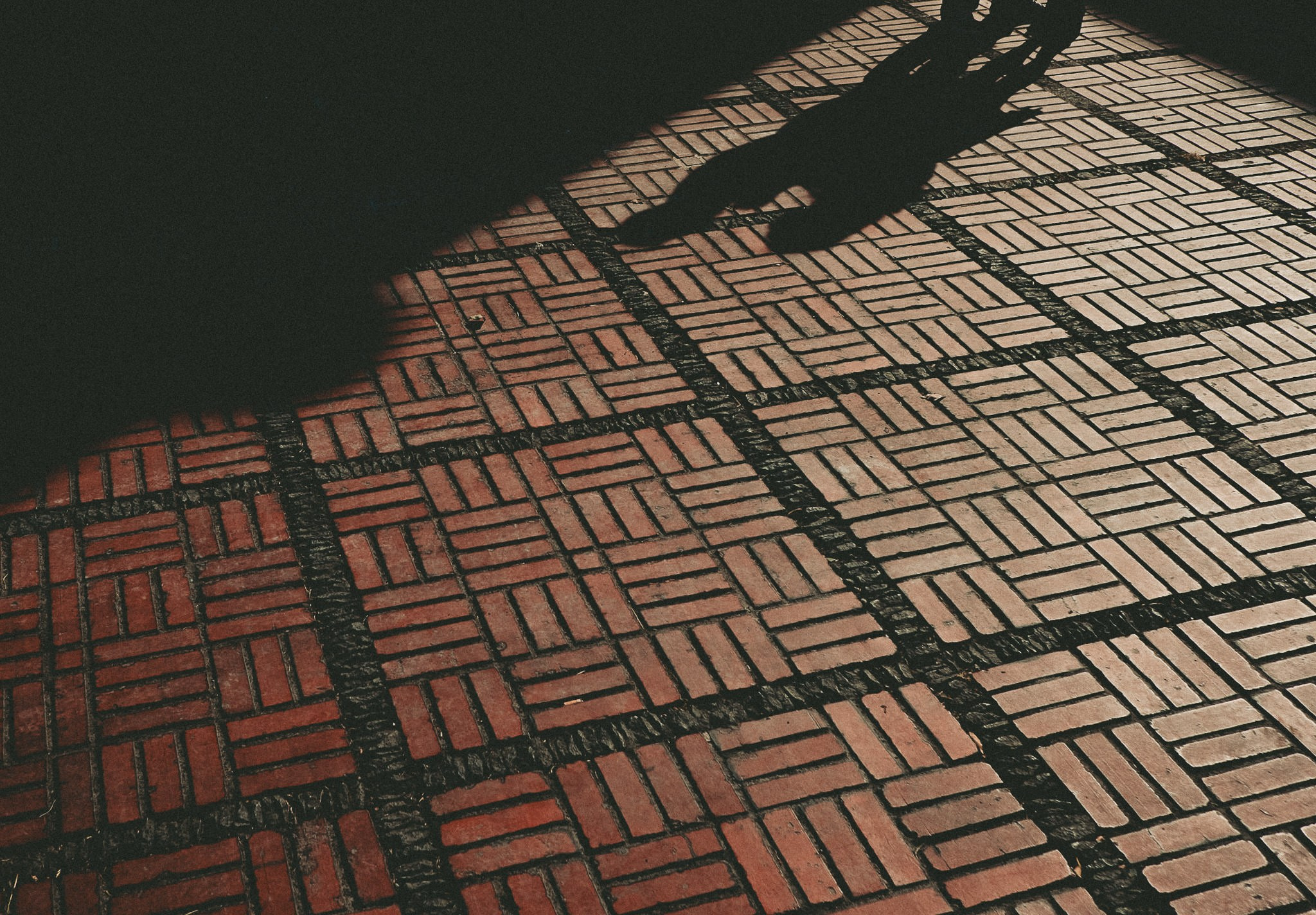 Marinela & Pedro. Wedding and family photographer in Mexico City