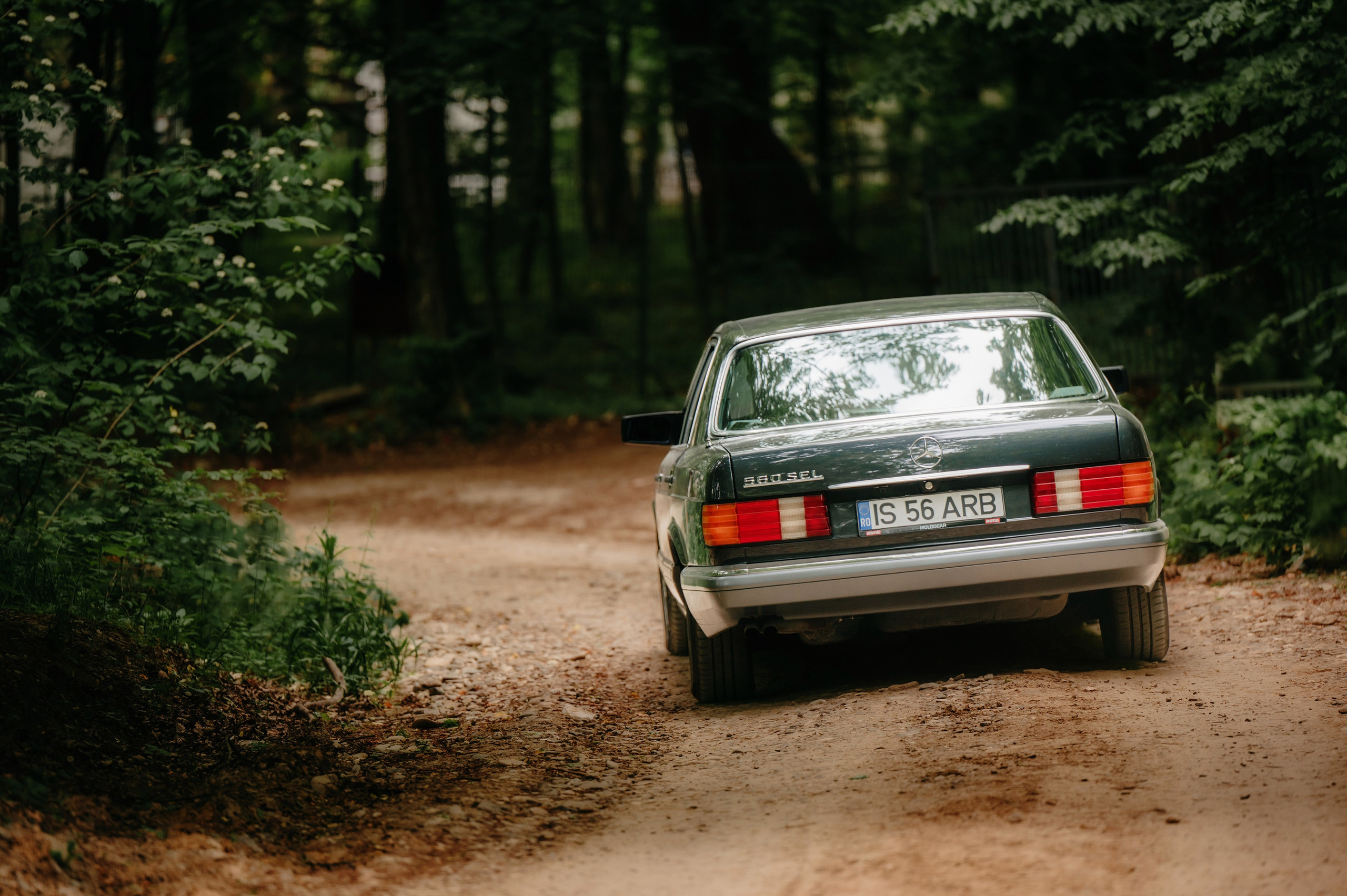 NUNTA Tudor si Stefana. Laurentiu Stefan StoryTeller