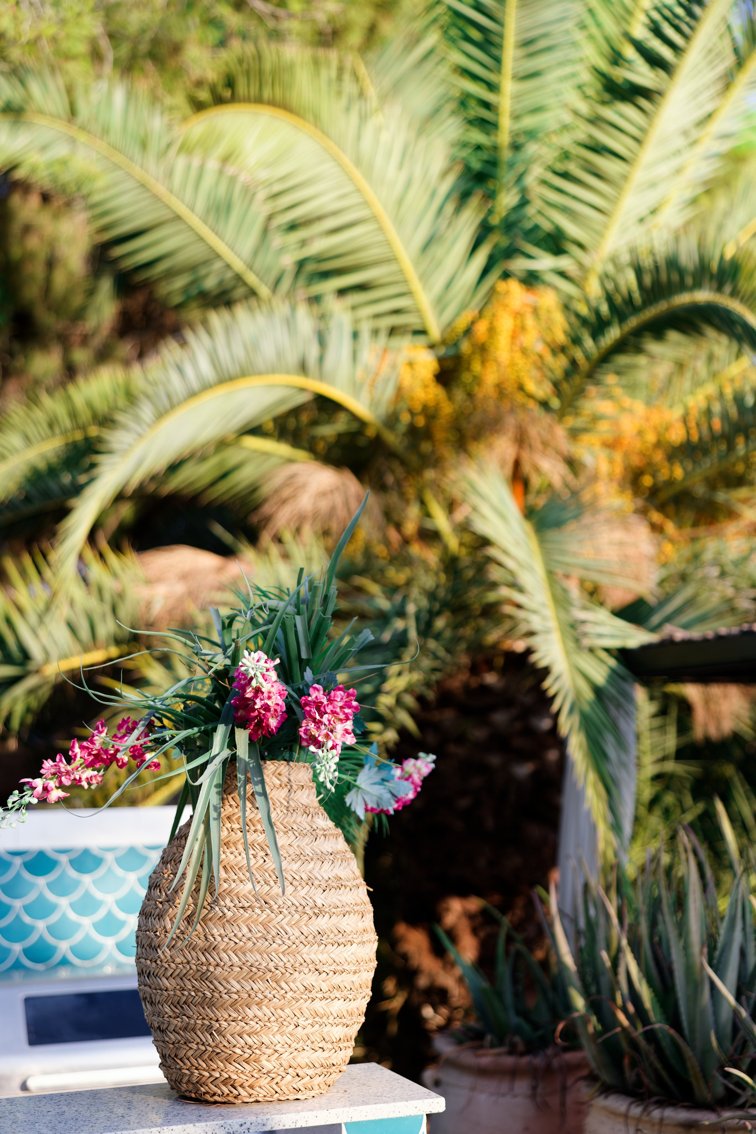 Haldi Ceremony & Mehndi Night & pre-wedding dinner, Barcelona