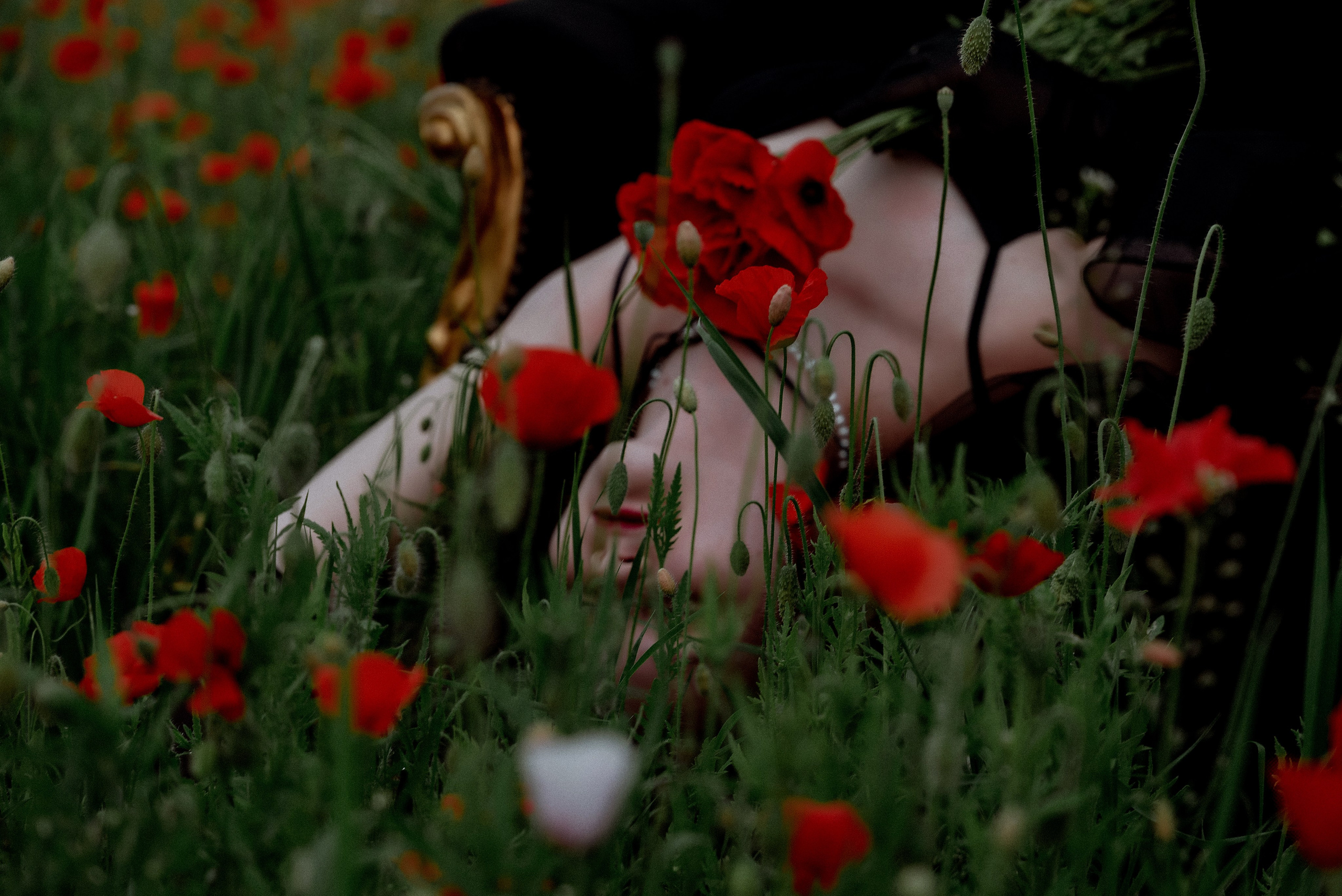 Izabella. Ваш фотограф в Латгалии — Александра Юхневича!