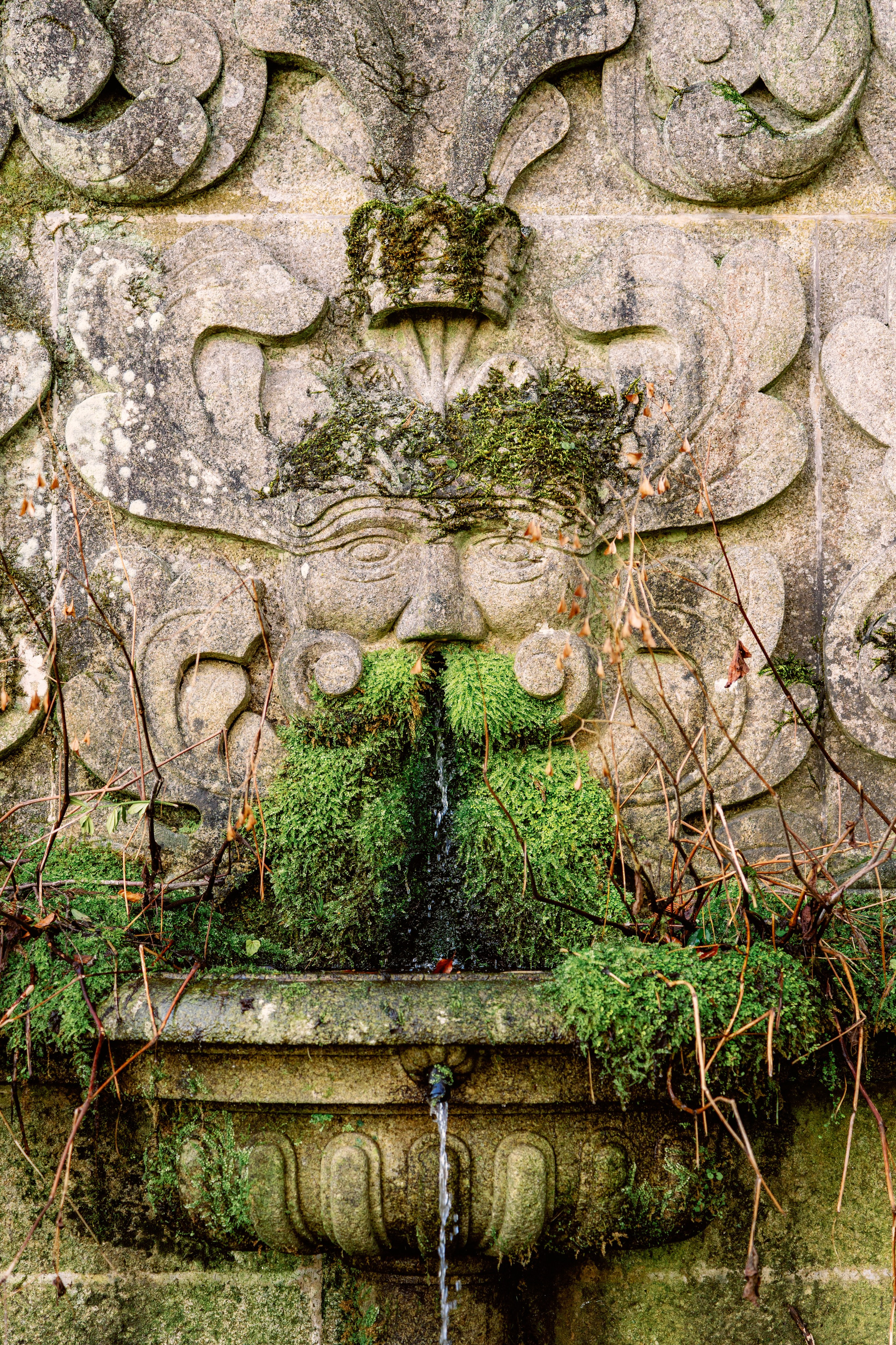 Винью Верде на ½ дня