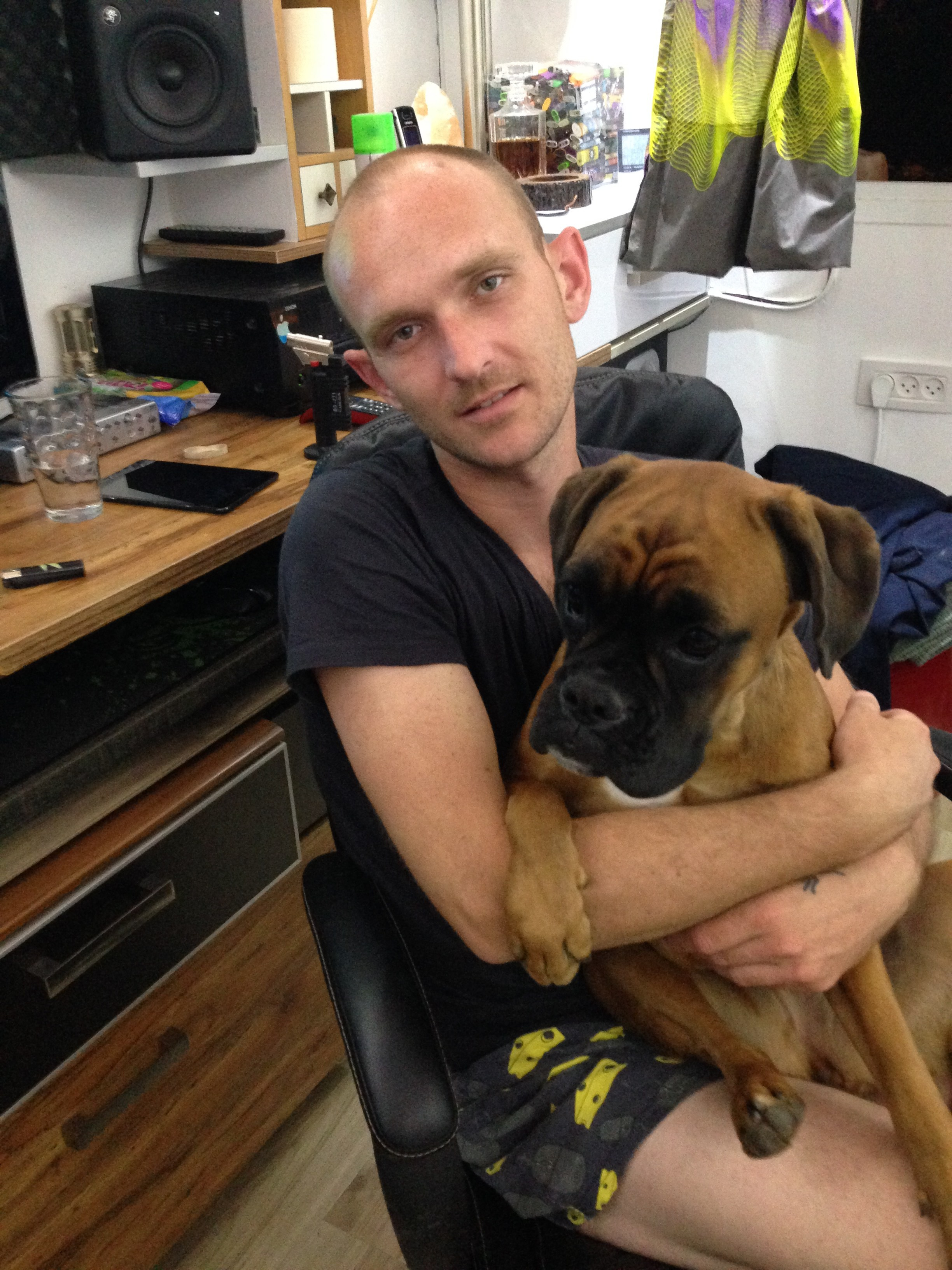 My ״Star״ Boxer Dog