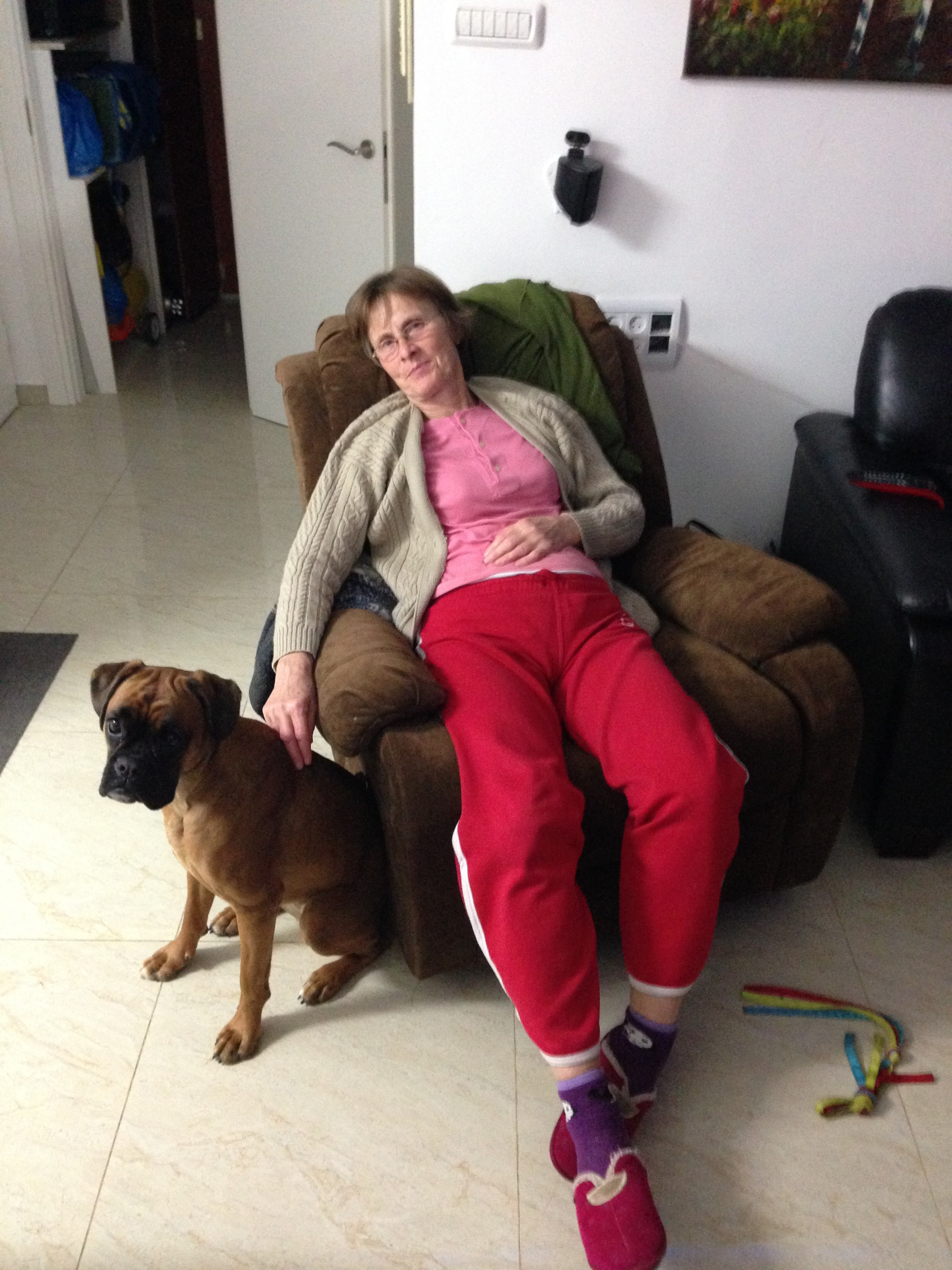 My ״Star״ Boxer Dog