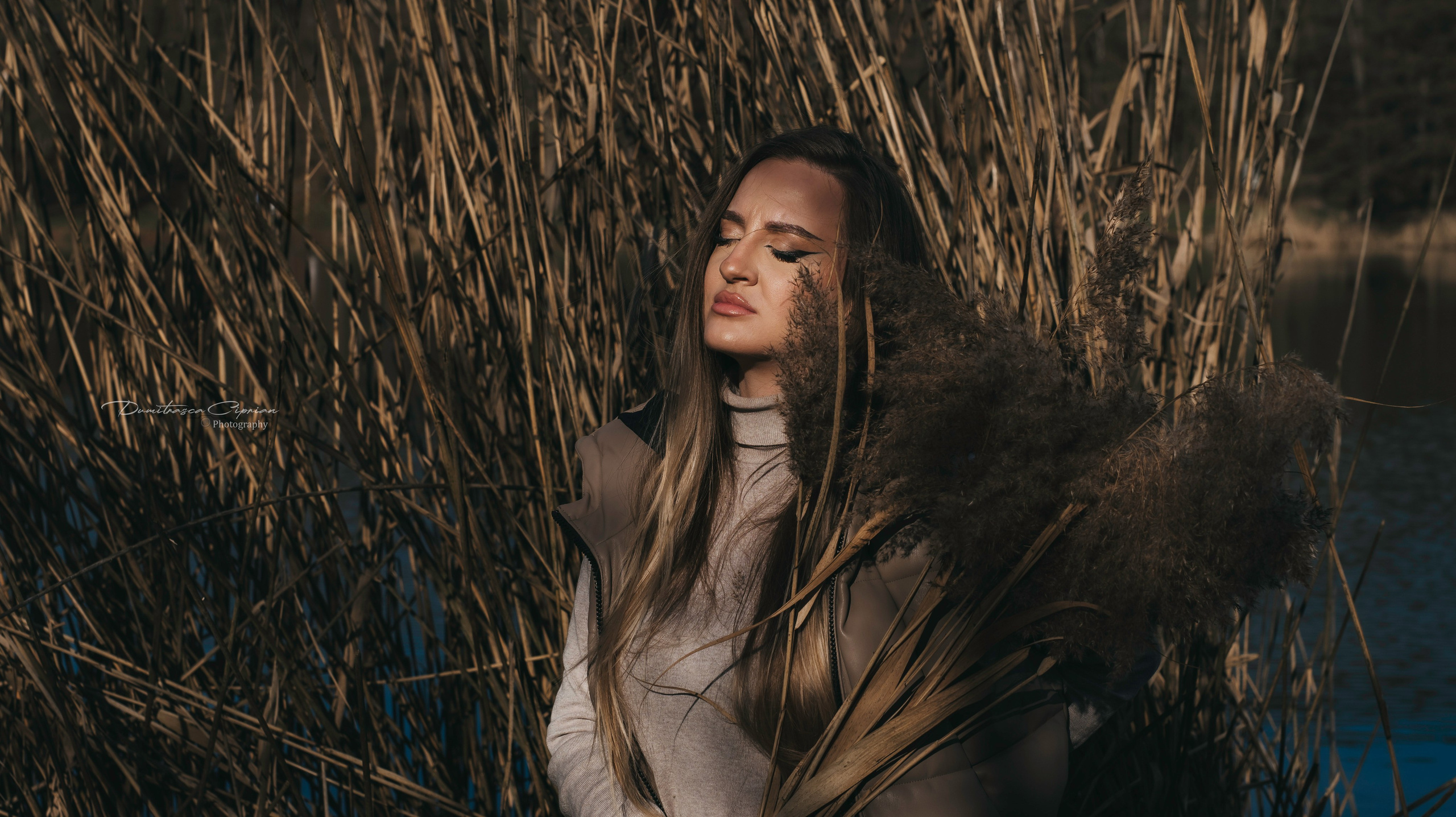 Golden Reeds. Dumitrasca Ciprian Photography