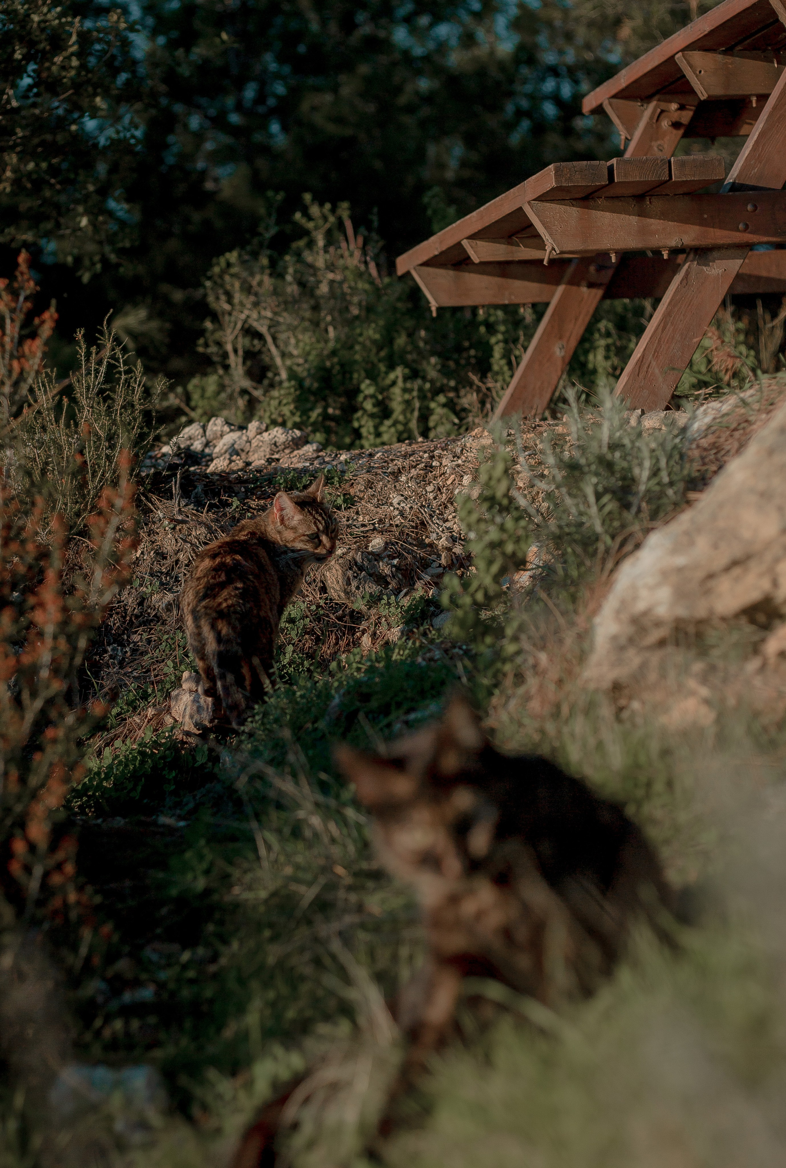 Turkey, Alanya. Art Photographer