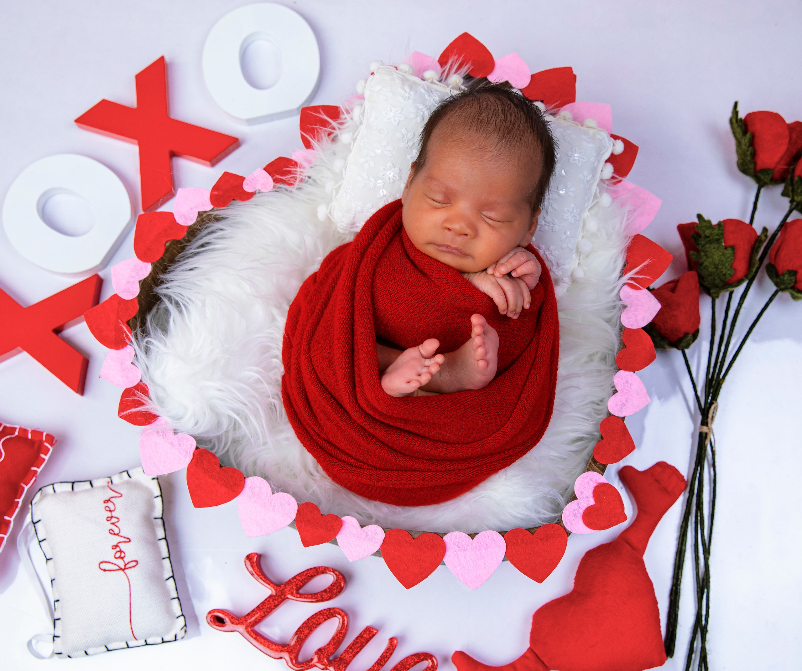 Valentine. AP Lens Photography | Newborn, Maternity, Milestone & Family Photographer | Little Elm & DFW, TX