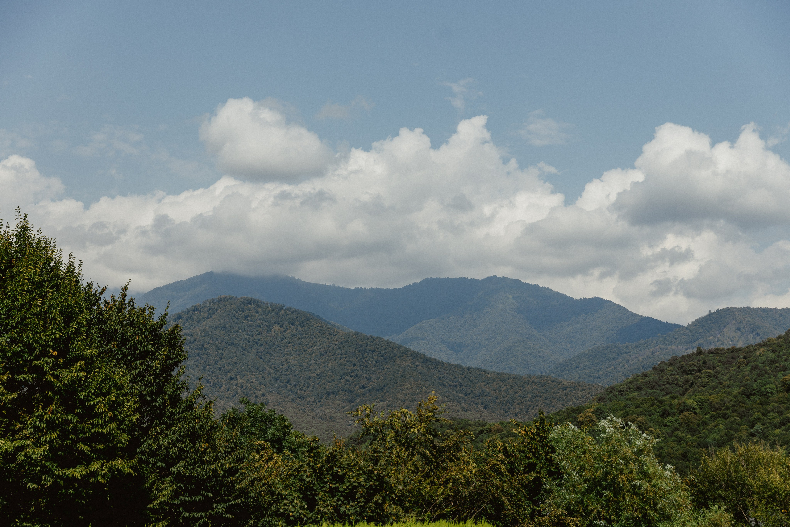 Kate & Andrey. Photographer Anna Nazarenko