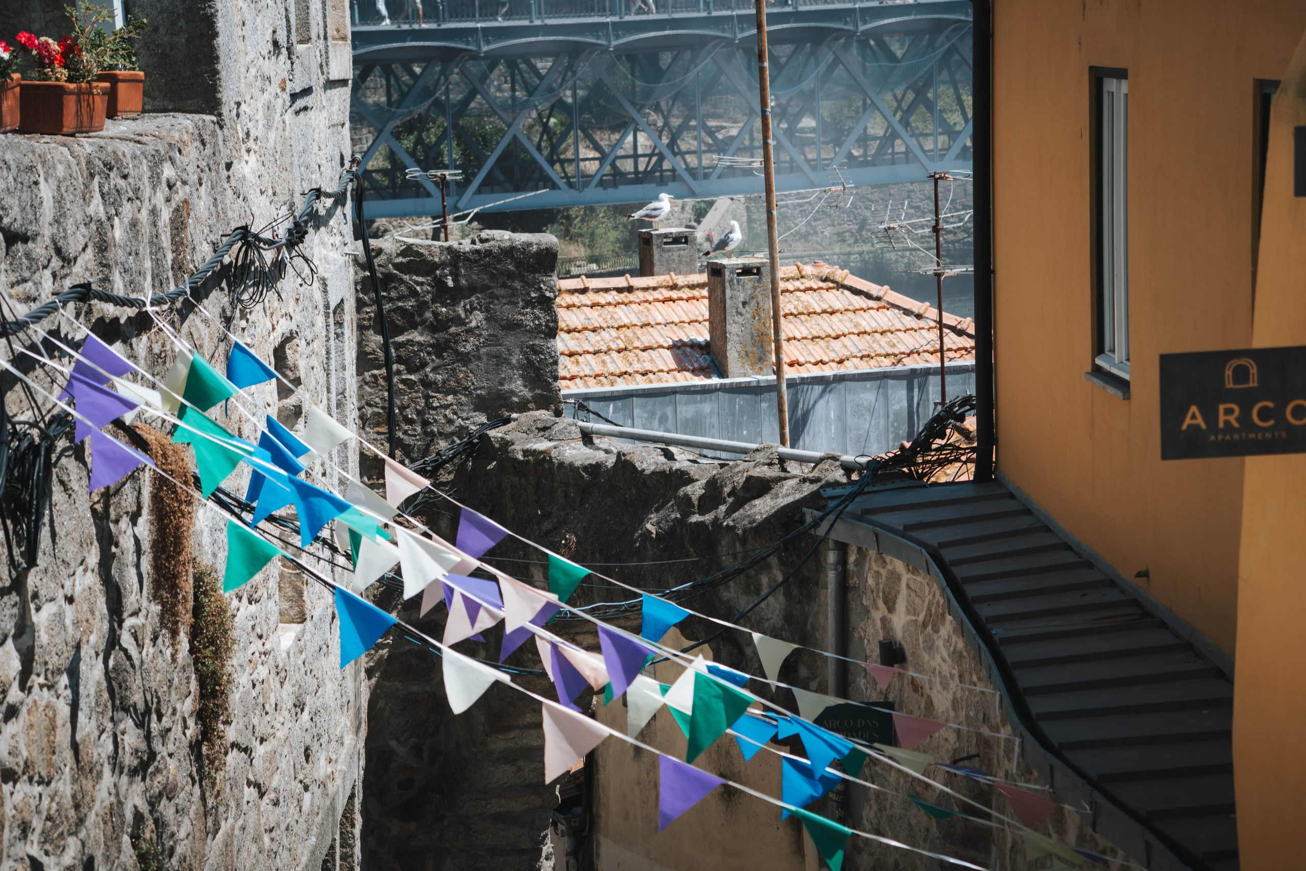 Porto, Agosto 2024. Alba del Norte Studio