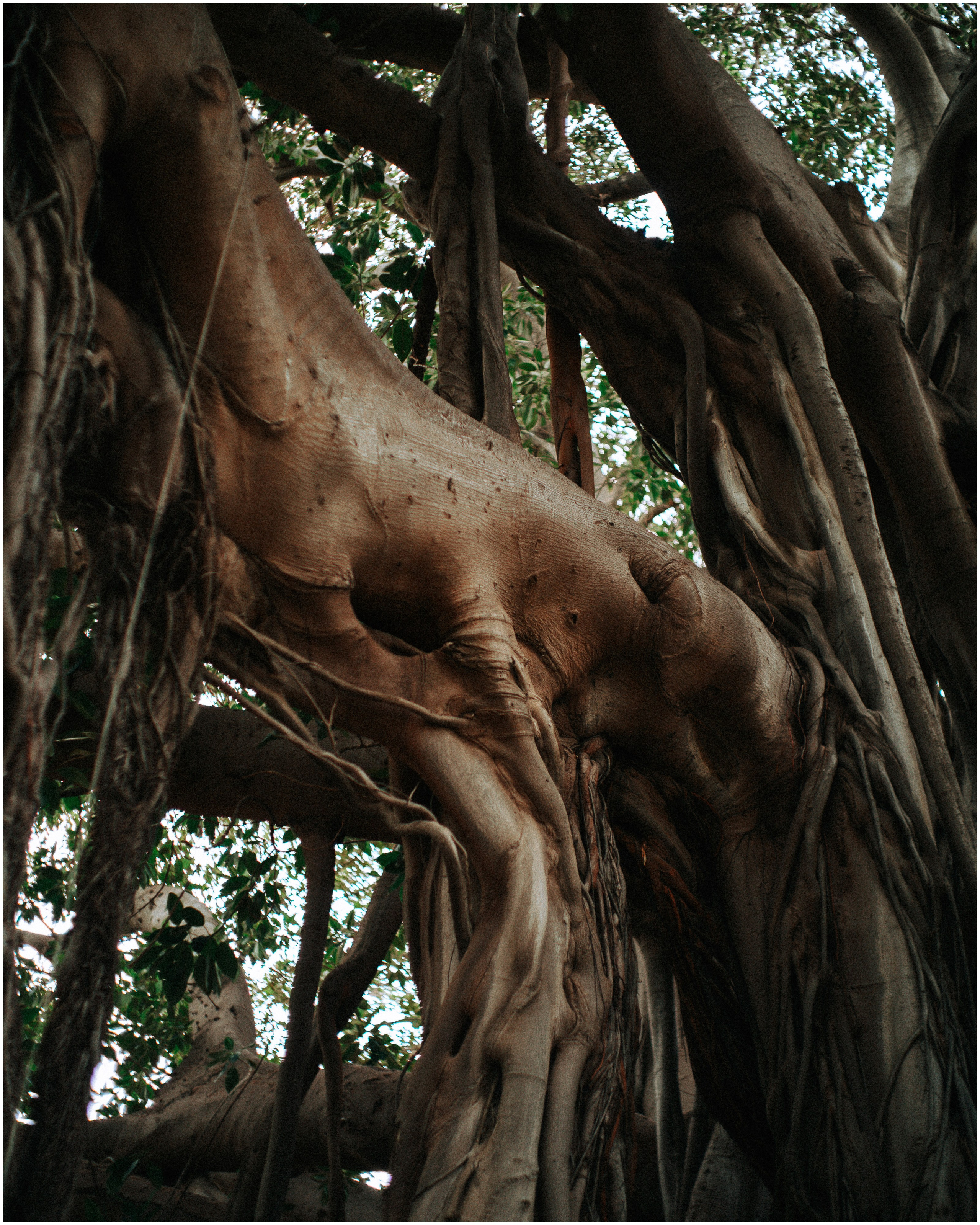 PALERMO. Photographer Inna Mendelson