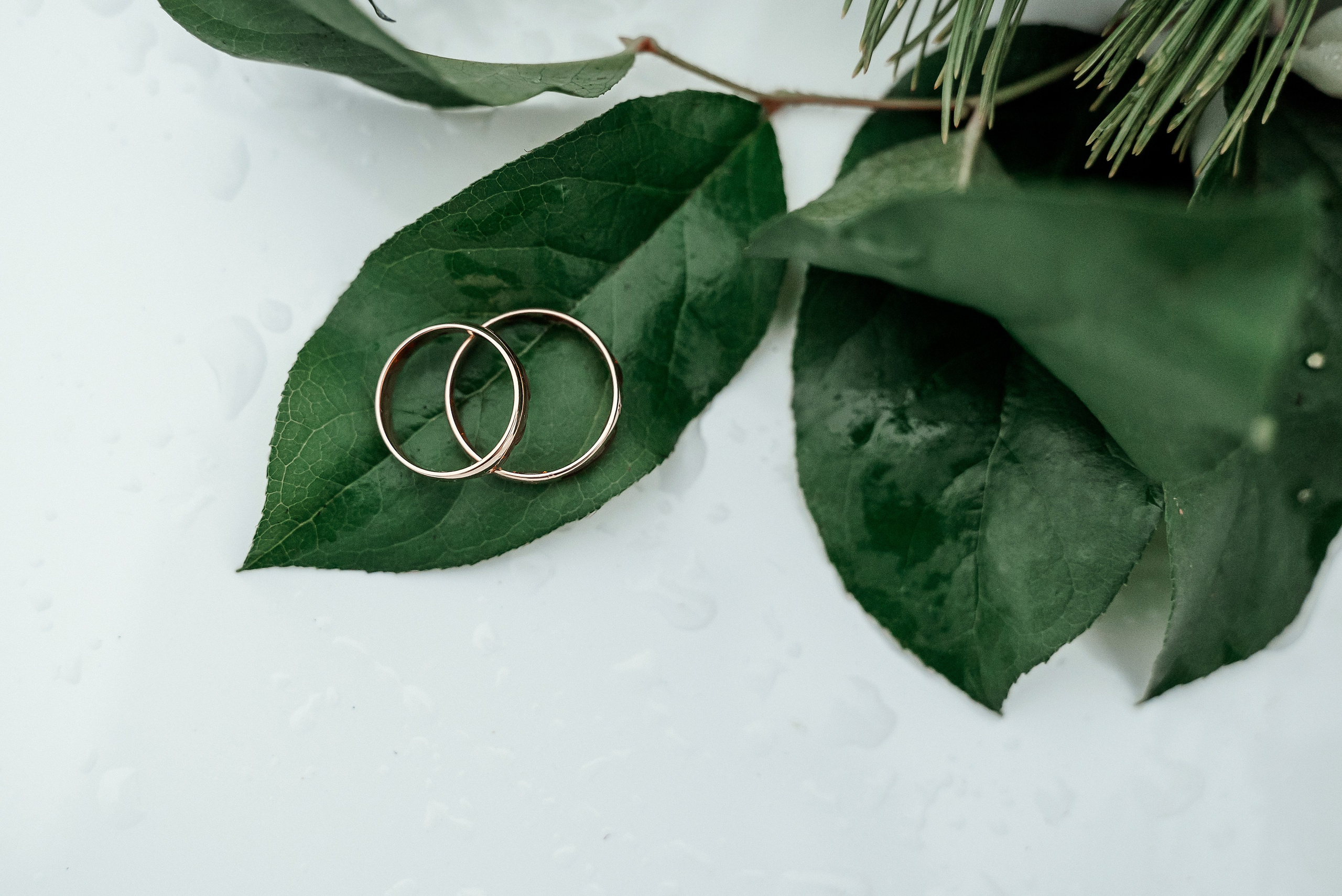 Iveta un Dainis. Ваш фотограф в Латгалии — Александра Юхневича!