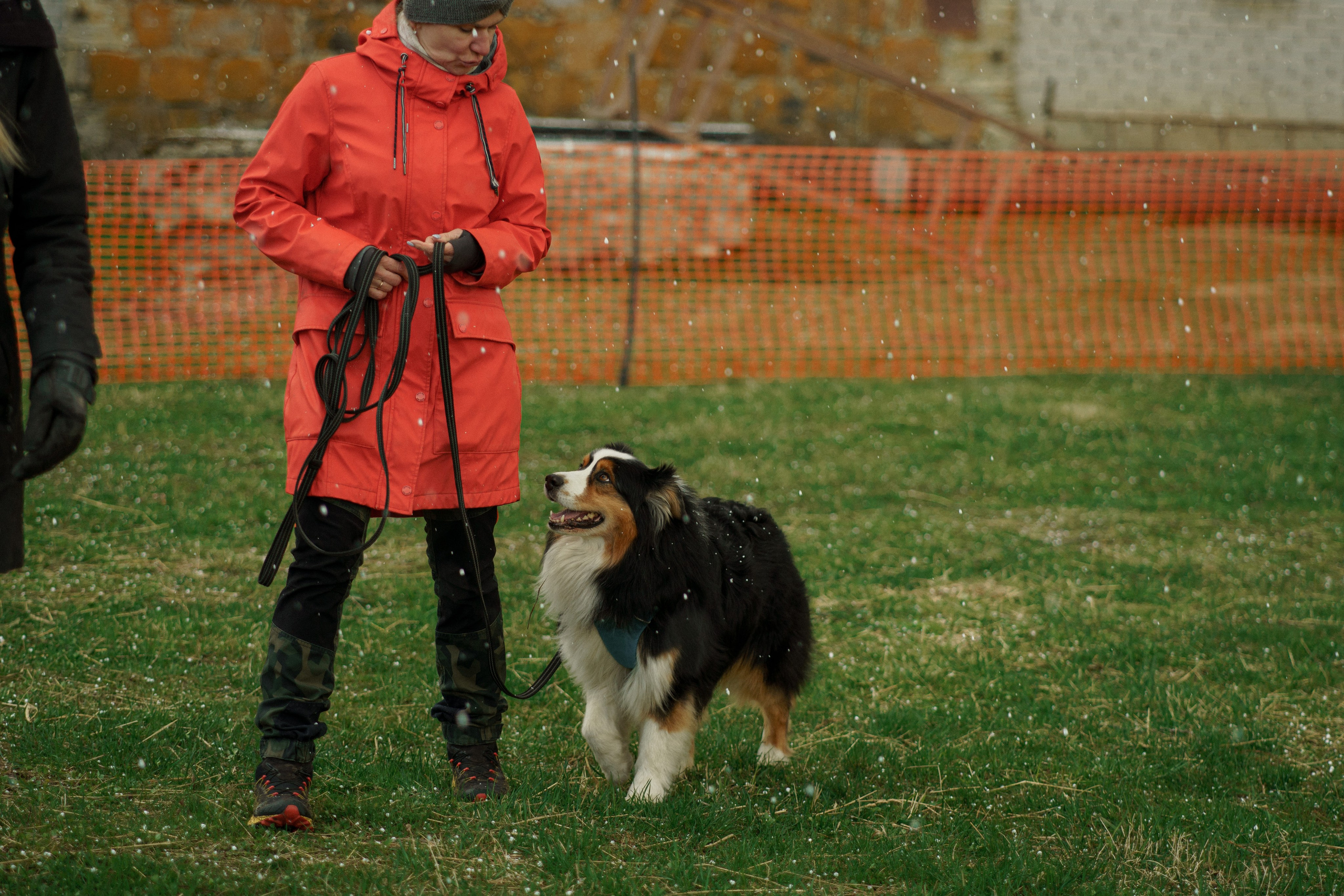 Herding Days, 26 apr. 2025. Kat Laisaar — Pet photographer in Tallinn