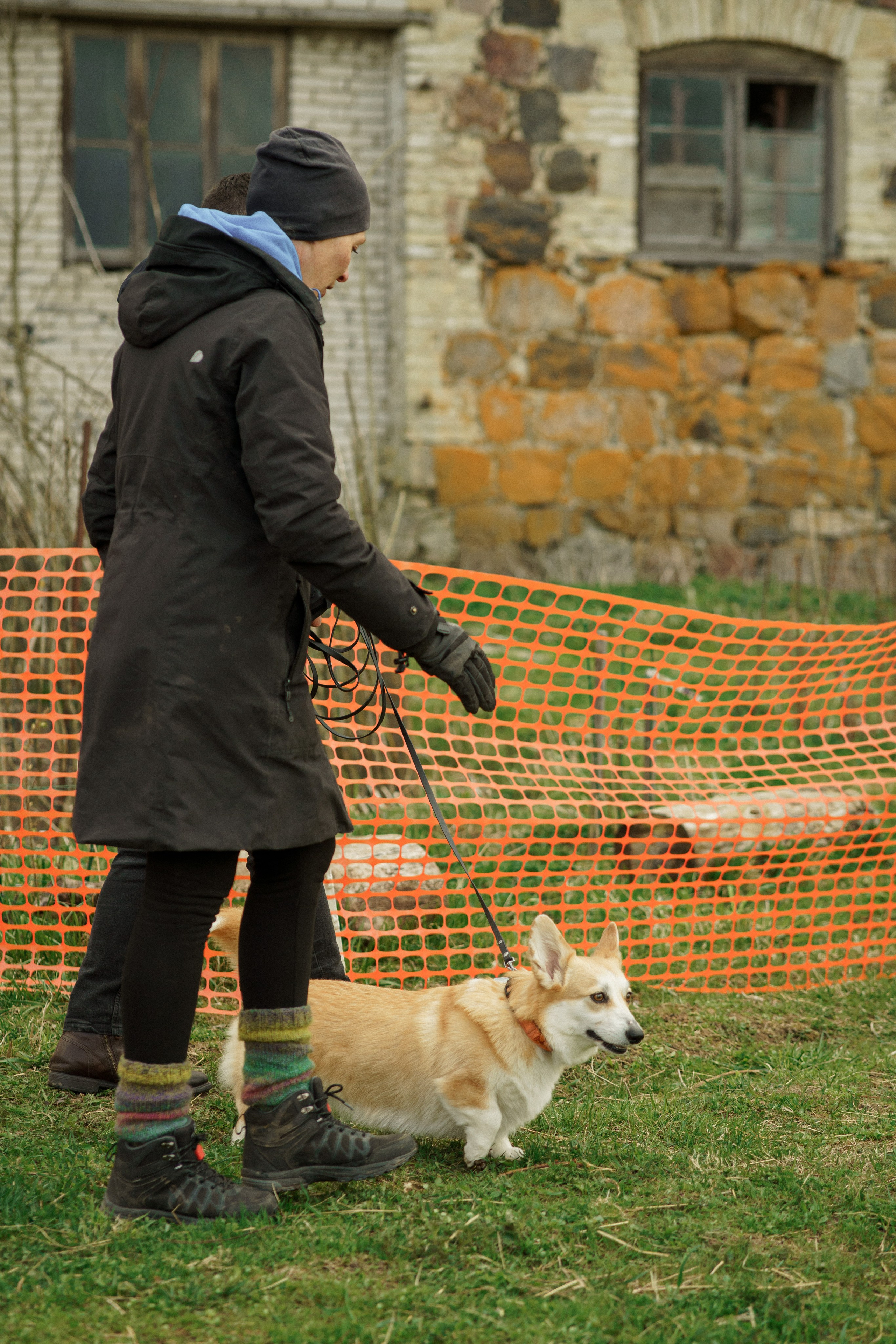 Herding Days, 26 apr. 2025. Kat Laisaar — Pet photographer in Tallinn