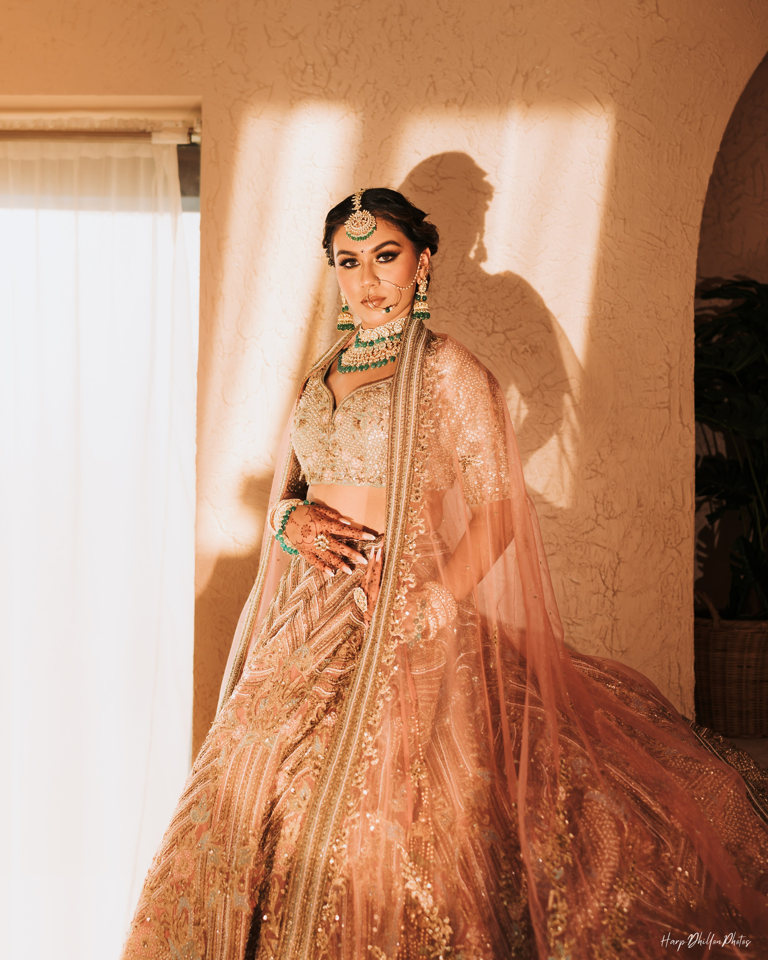 Portfolio. HarpDhillon Photos