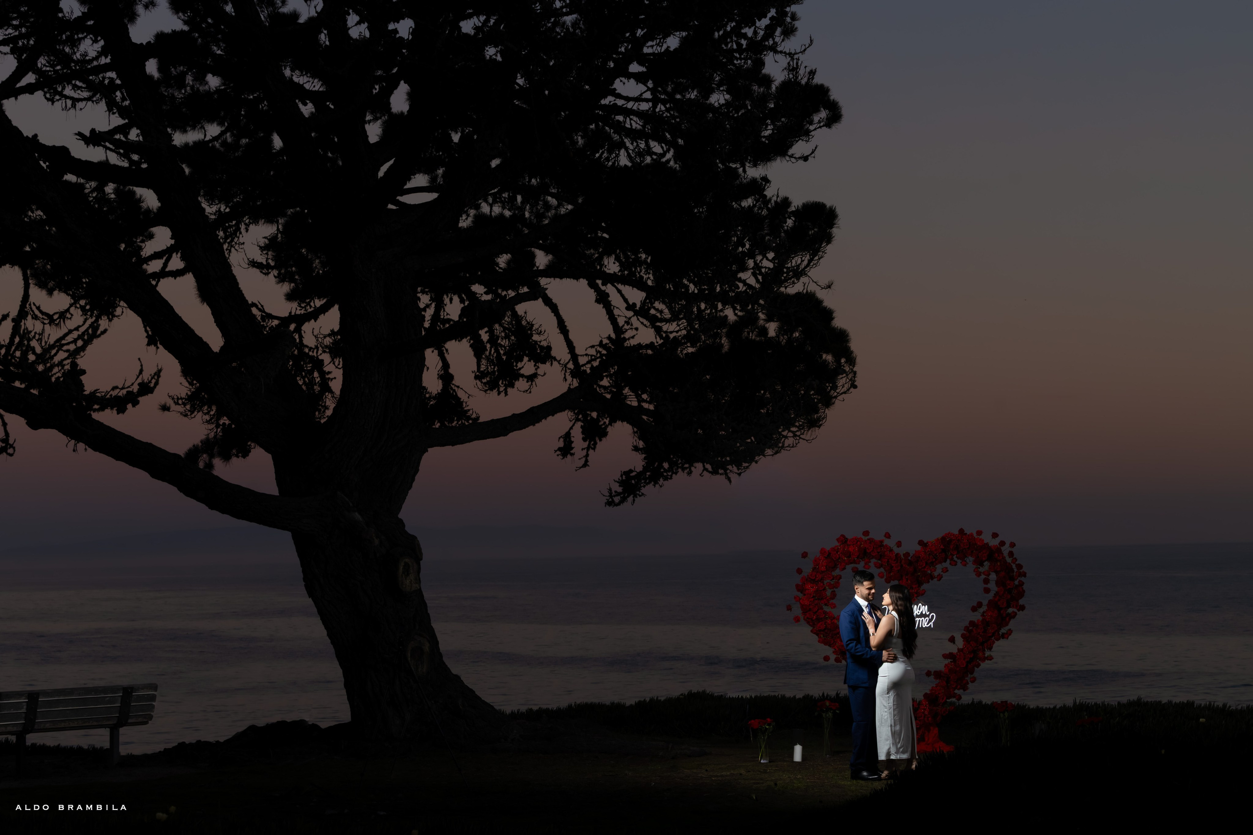 Propuesta de matrimonio. Aldo Brambila fotografo de eventos y sociales