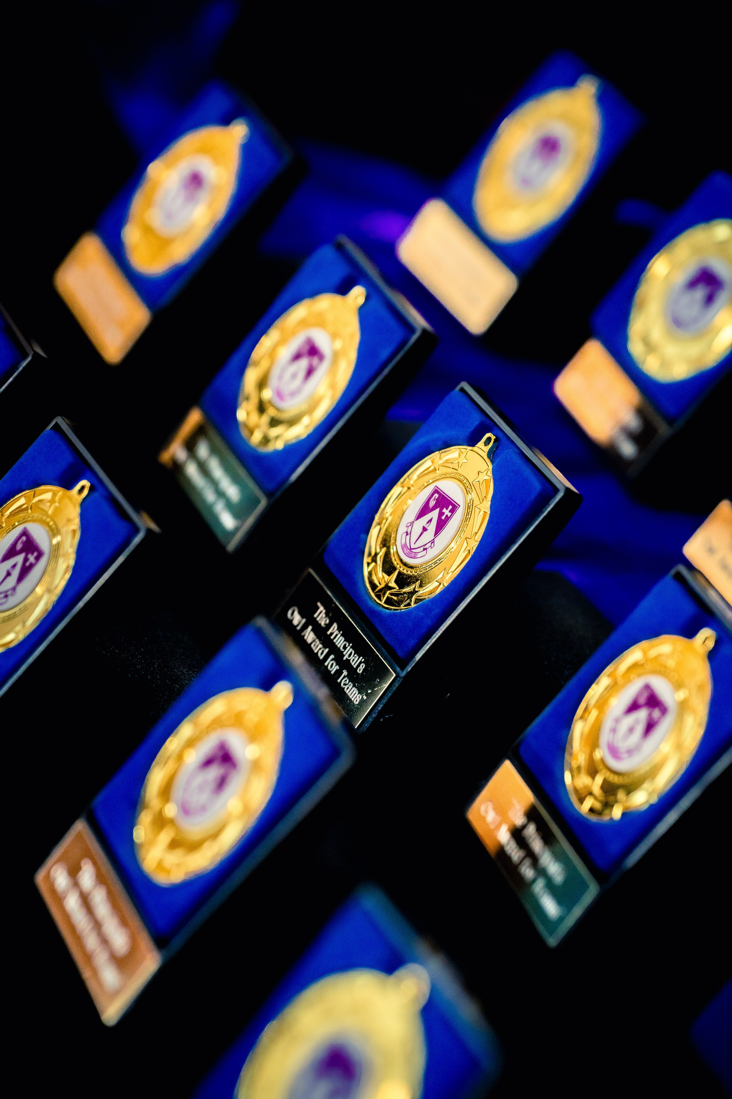 The Owl Society. Expect Miracles Photography