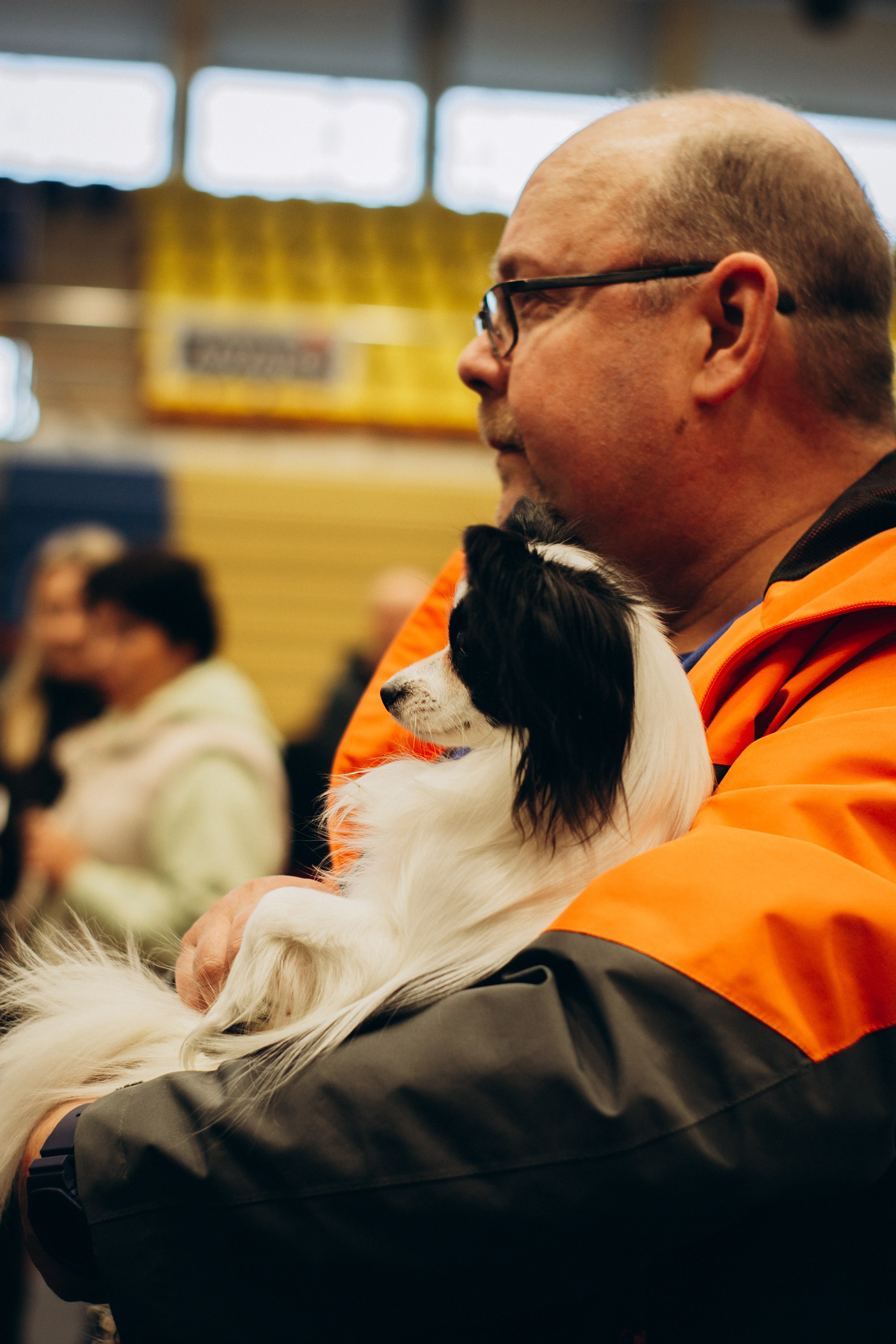 Rakvere Dog Show. Kat Laisaar — Pet photographer in Tallinn