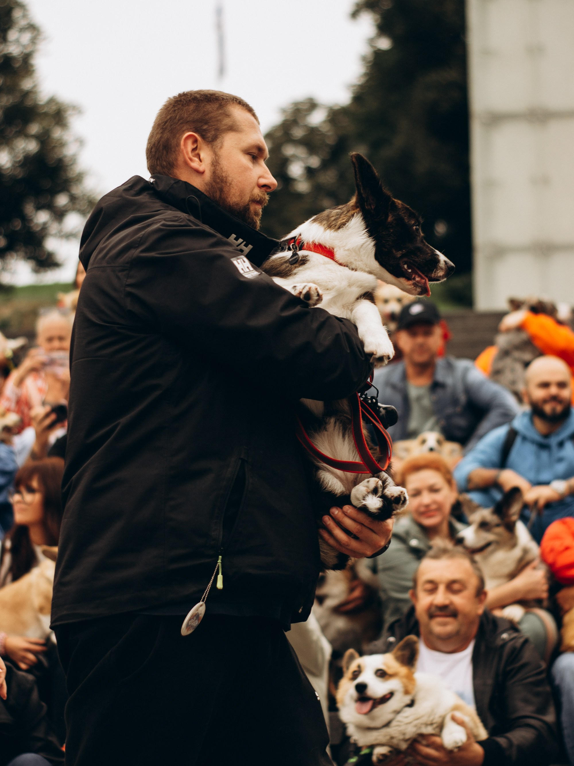 Corgi party, september. Kat Laisaar — Pet photographer in Tallinn