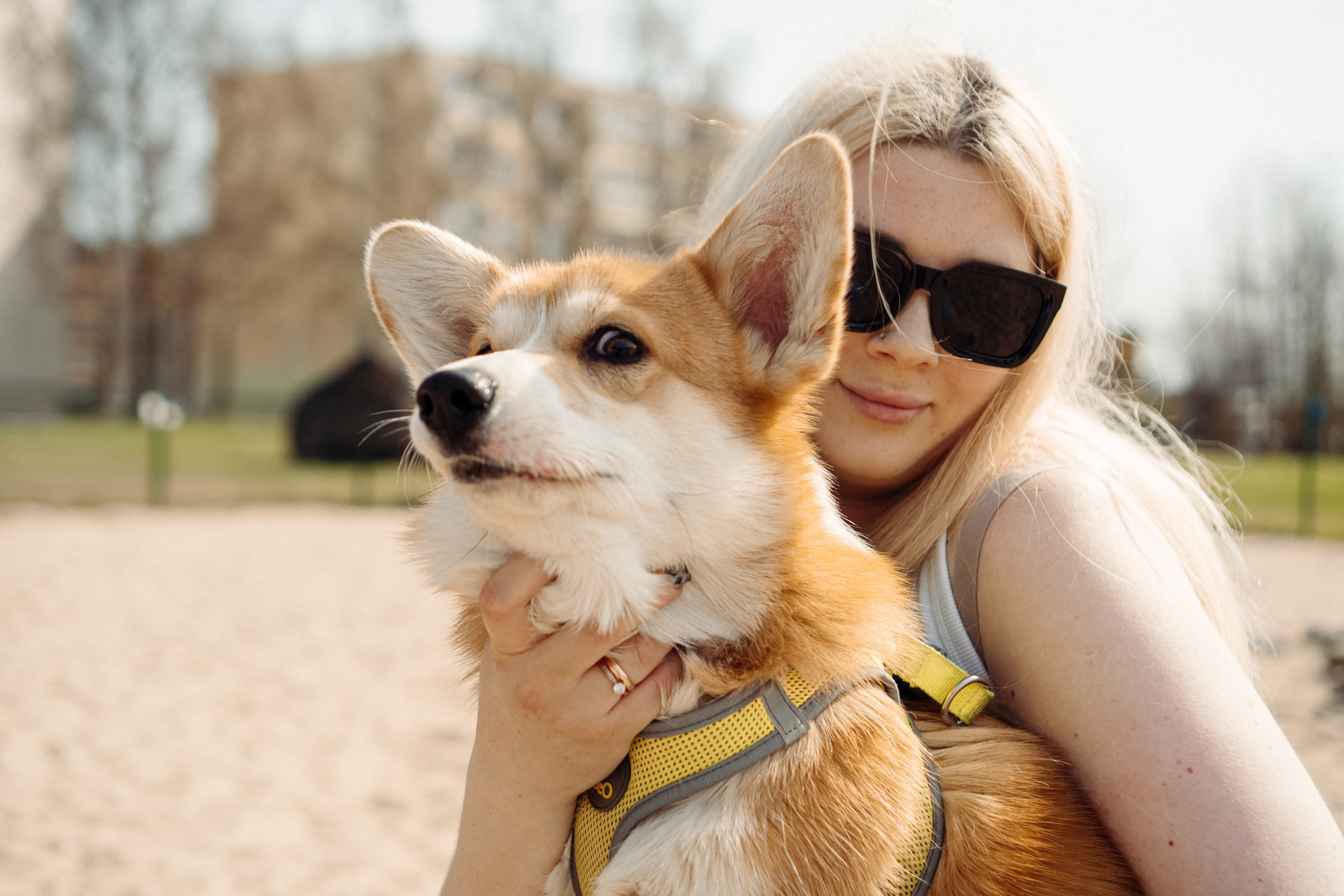 Corgi party, 18 apr. 2025. Kat Laisaar — Pet photographer in Tallinn