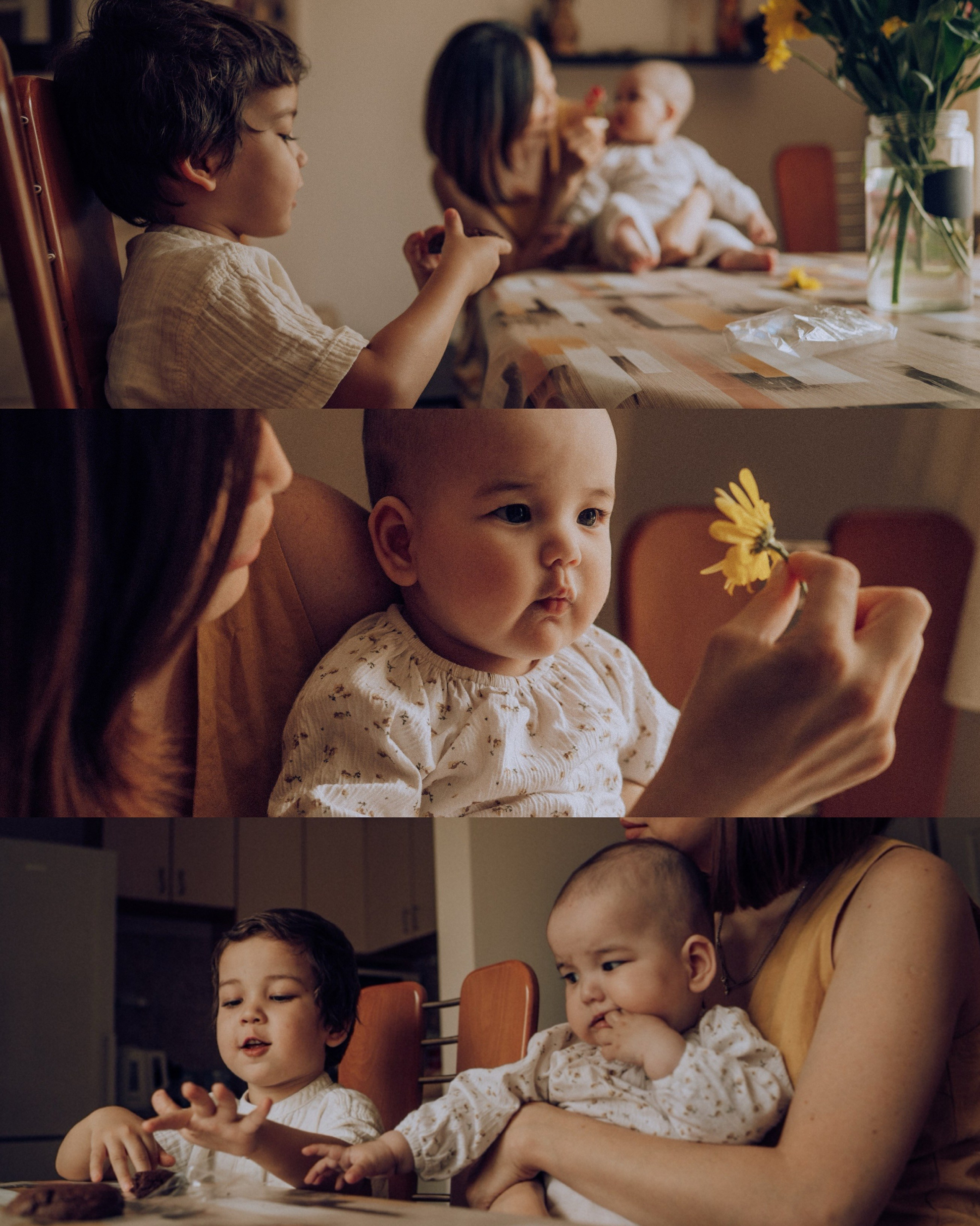 M.M.L. Семейный фотограф. Сербия. Нови-Сад. Белград