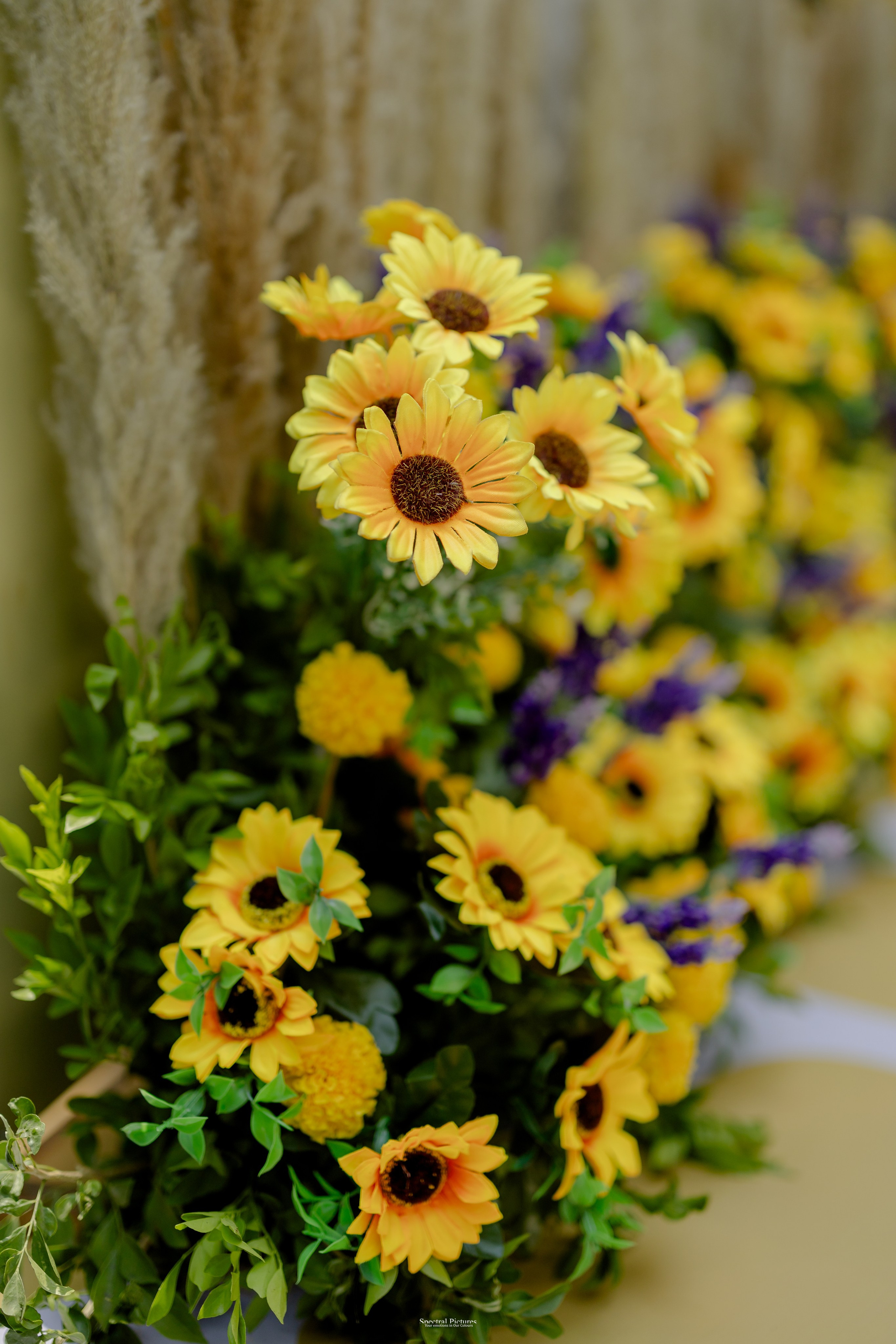 “Bob’s Bar to The Big Day — Starring Amulya & Aditya”