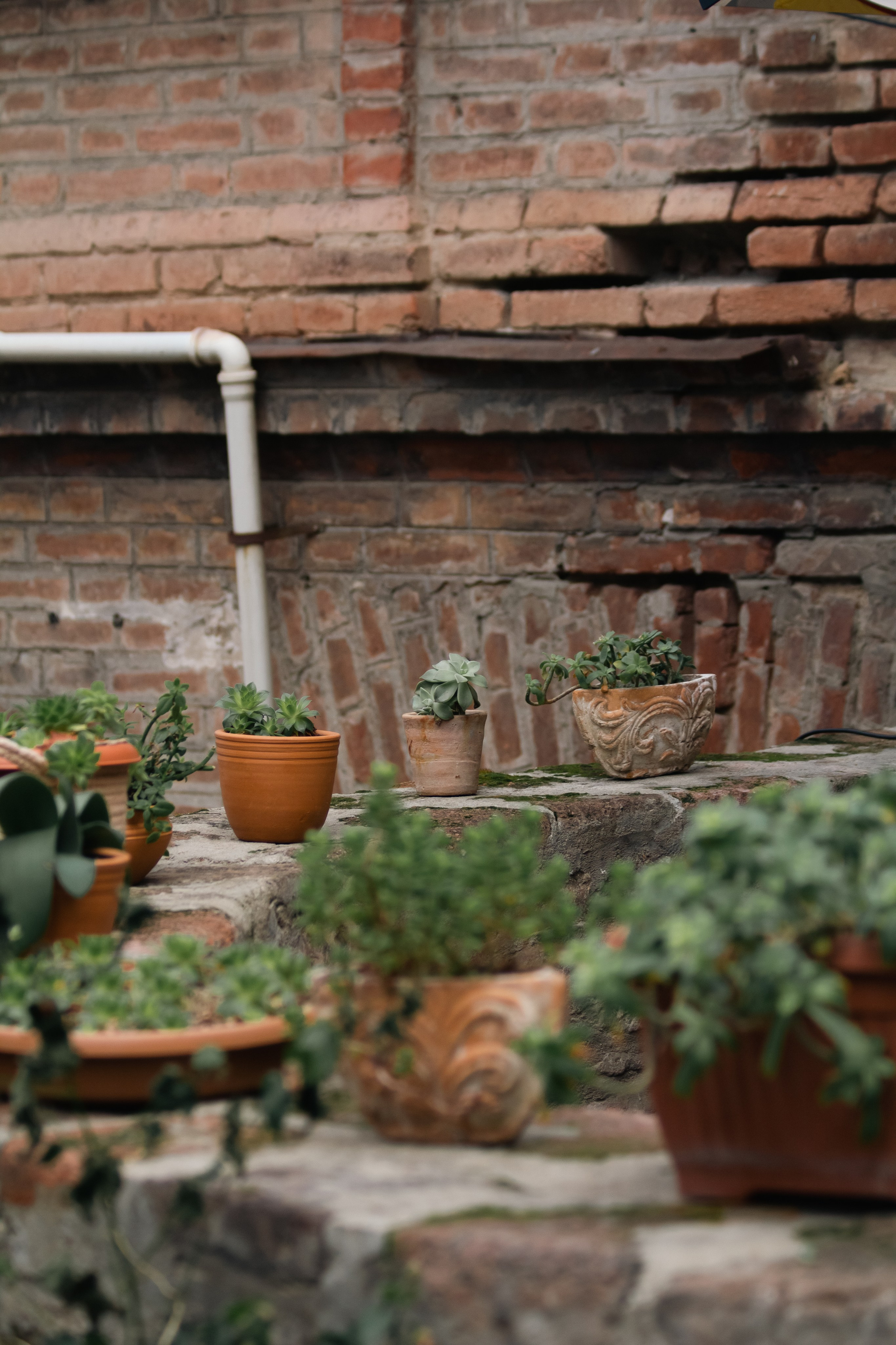 Postcards for Grandma. Stanislava Novgorodtseva — Photographer | Visual Artist | Educator