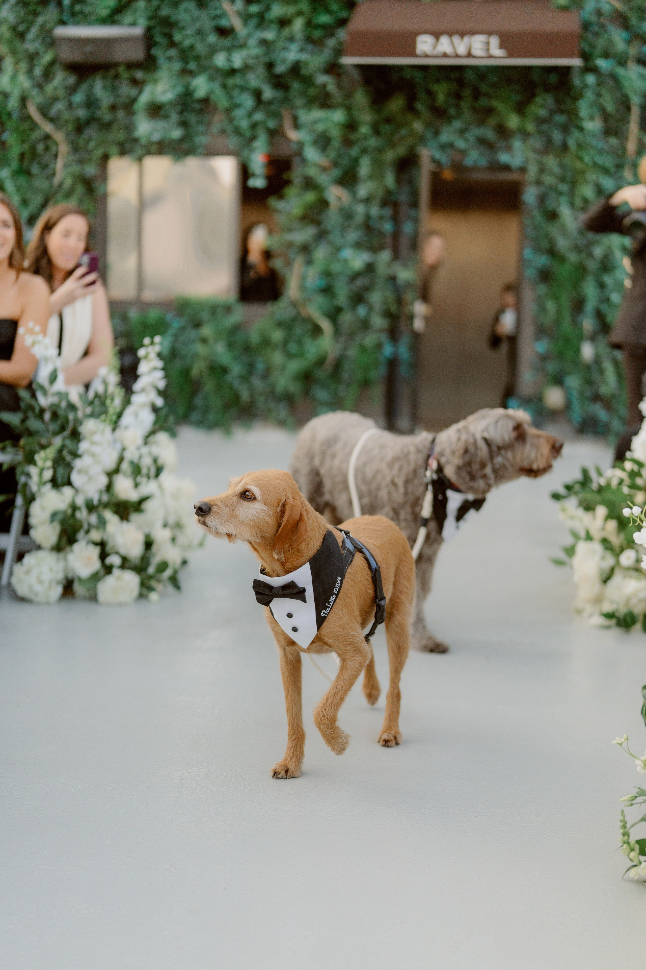 Jenna and Steven. Wedding photographer and videographer New York | New Jersey