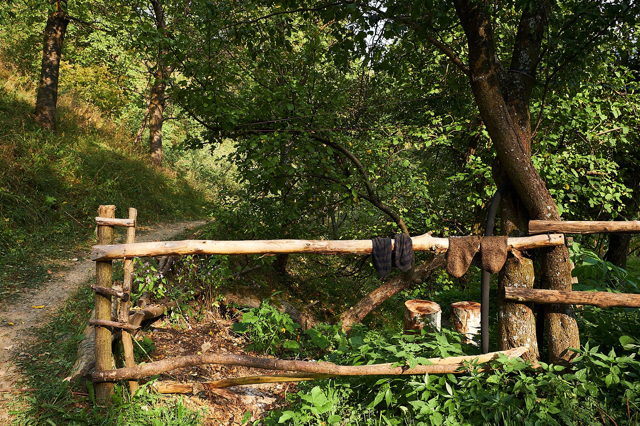 Ineleț, jud. Caraș-Severin. Pagina principală