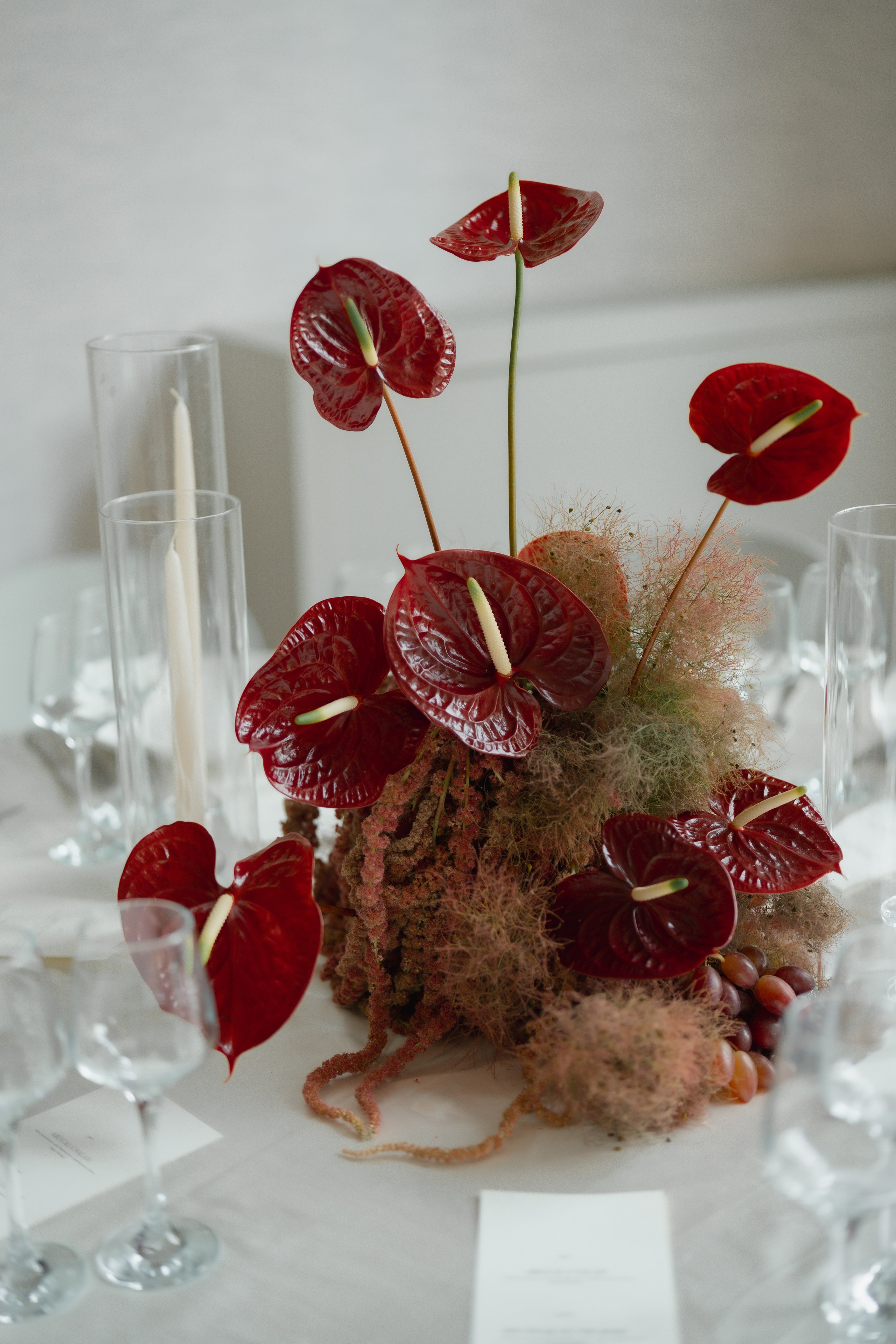 Amir and Maya. Anna Krasnova Wedding photographer