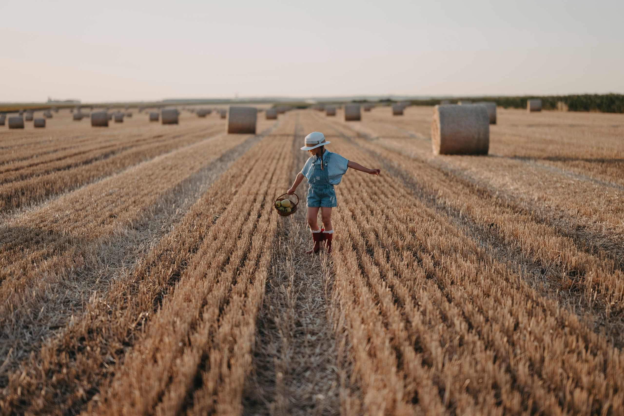 Letnje fotografisanje u polju suncokreta i sena. Deciji i porodicni fotograf u Beogradu Oksana Skendzic