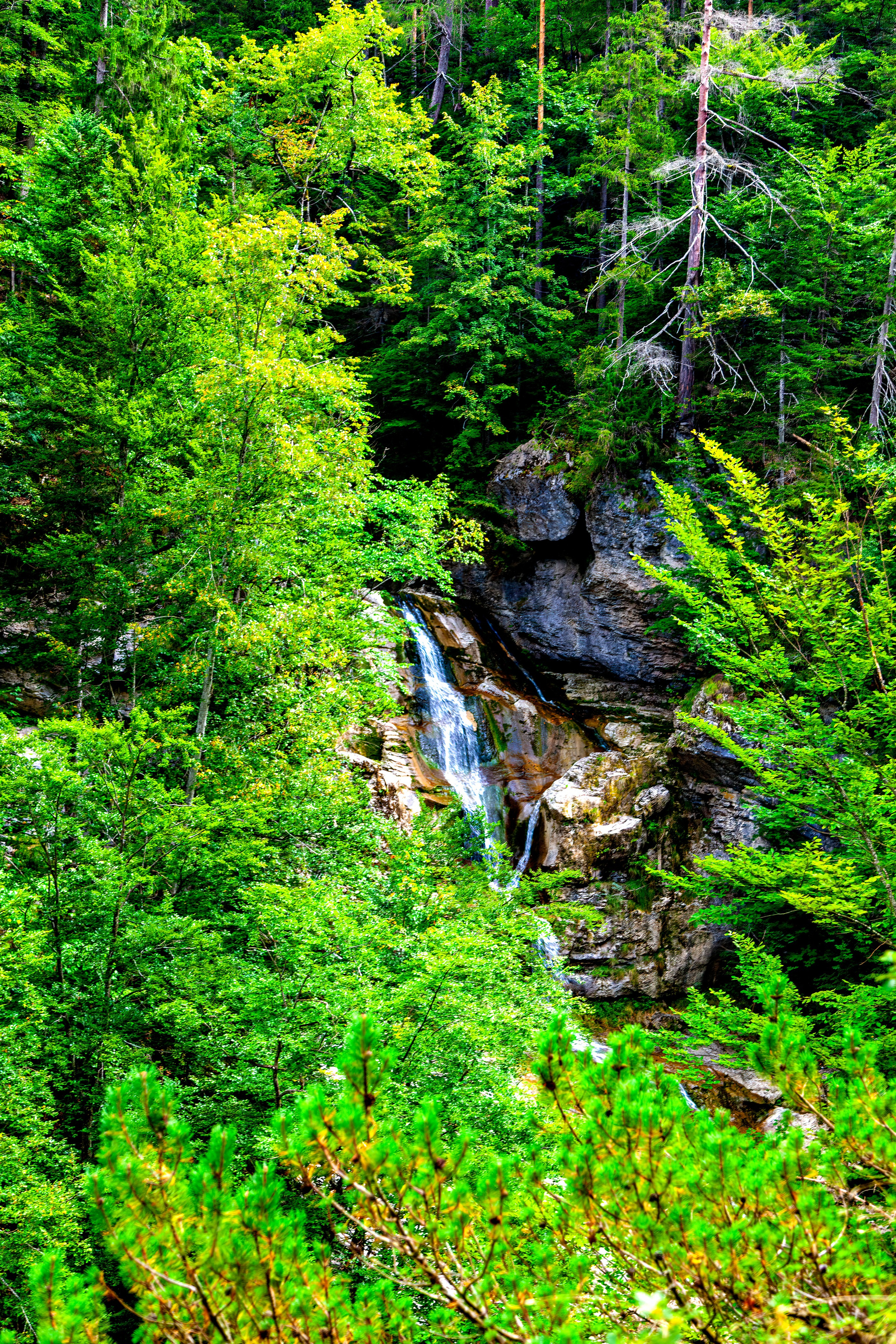 197.Ötscher Base Nature Park.Austria.21.8.2025. Путешествия в формате 360......