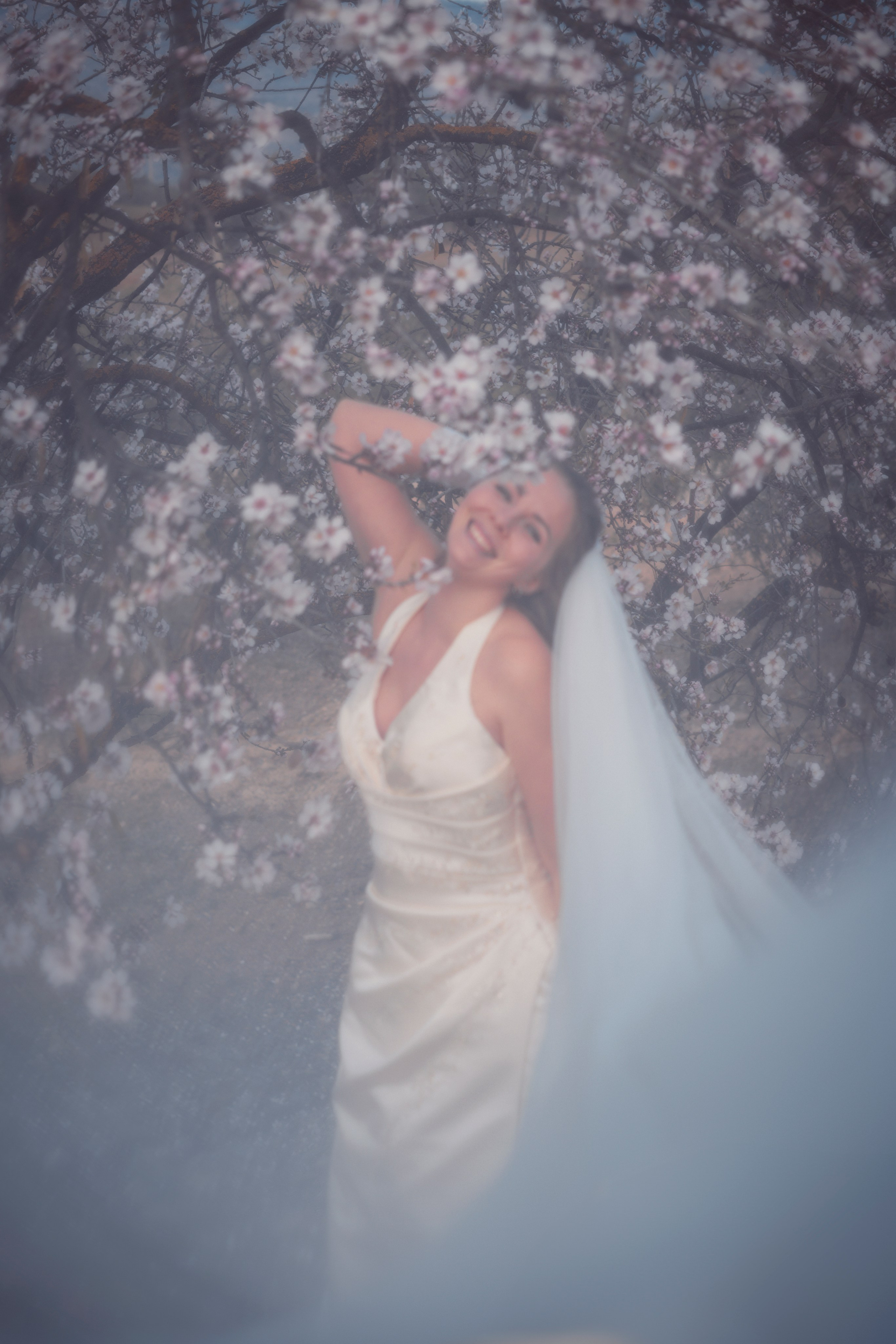 Свадебная прогулка в цветущем миндале. Анастасия Благова — Твой фотограф в Малаге 🇪🇸