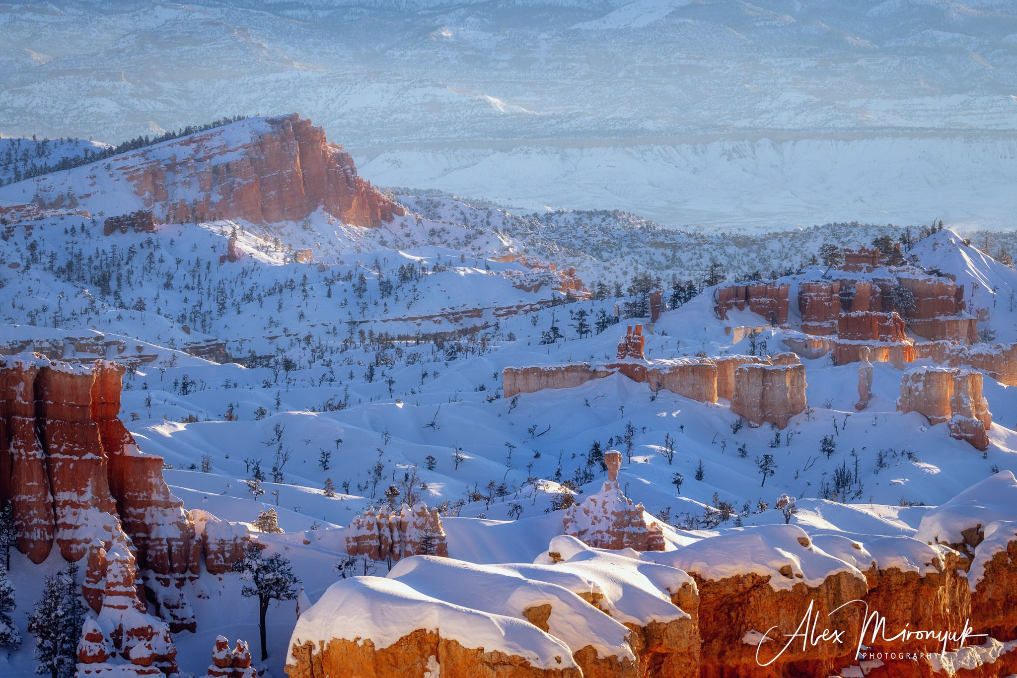 New Year In Utah. Pet, Senior, Landscape, portrait studio, photographer in Miami and Sou