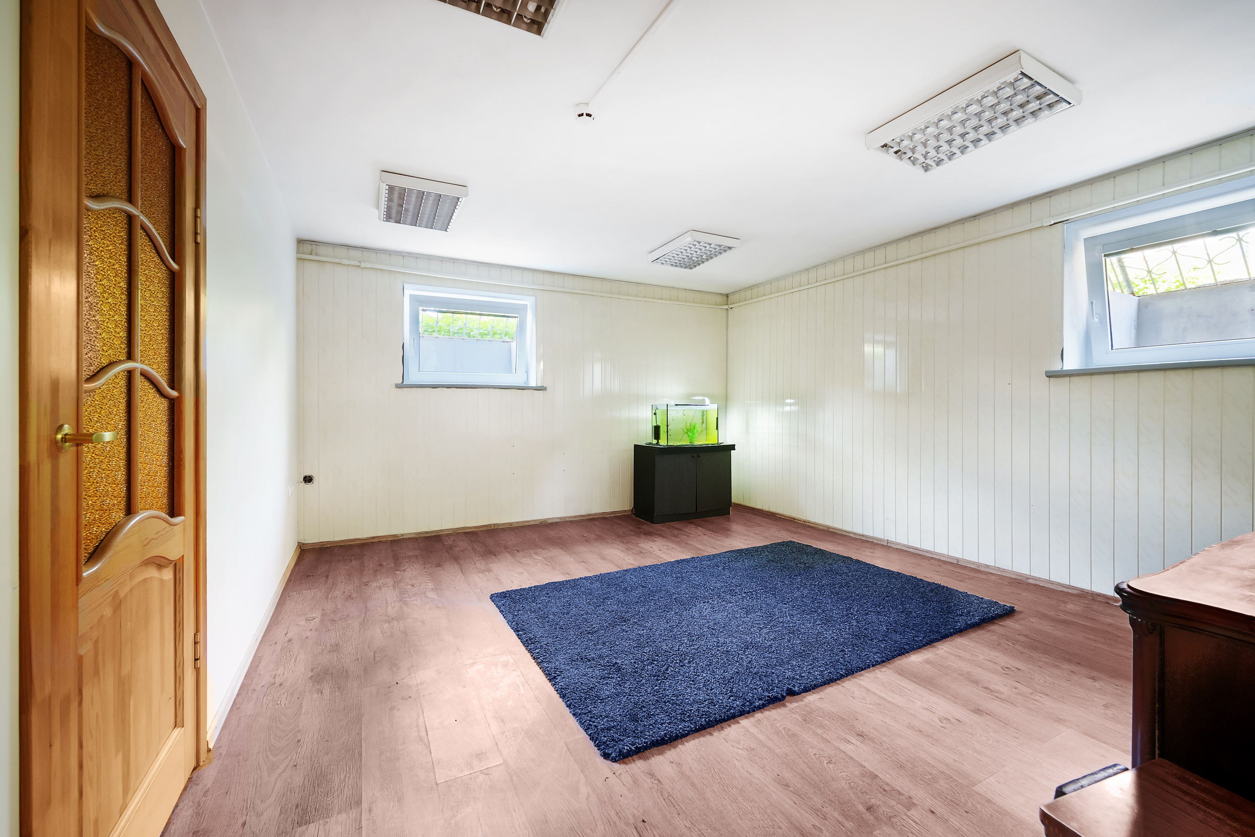 Grigiškės. Elina Sapiega fotografė Vilniuje