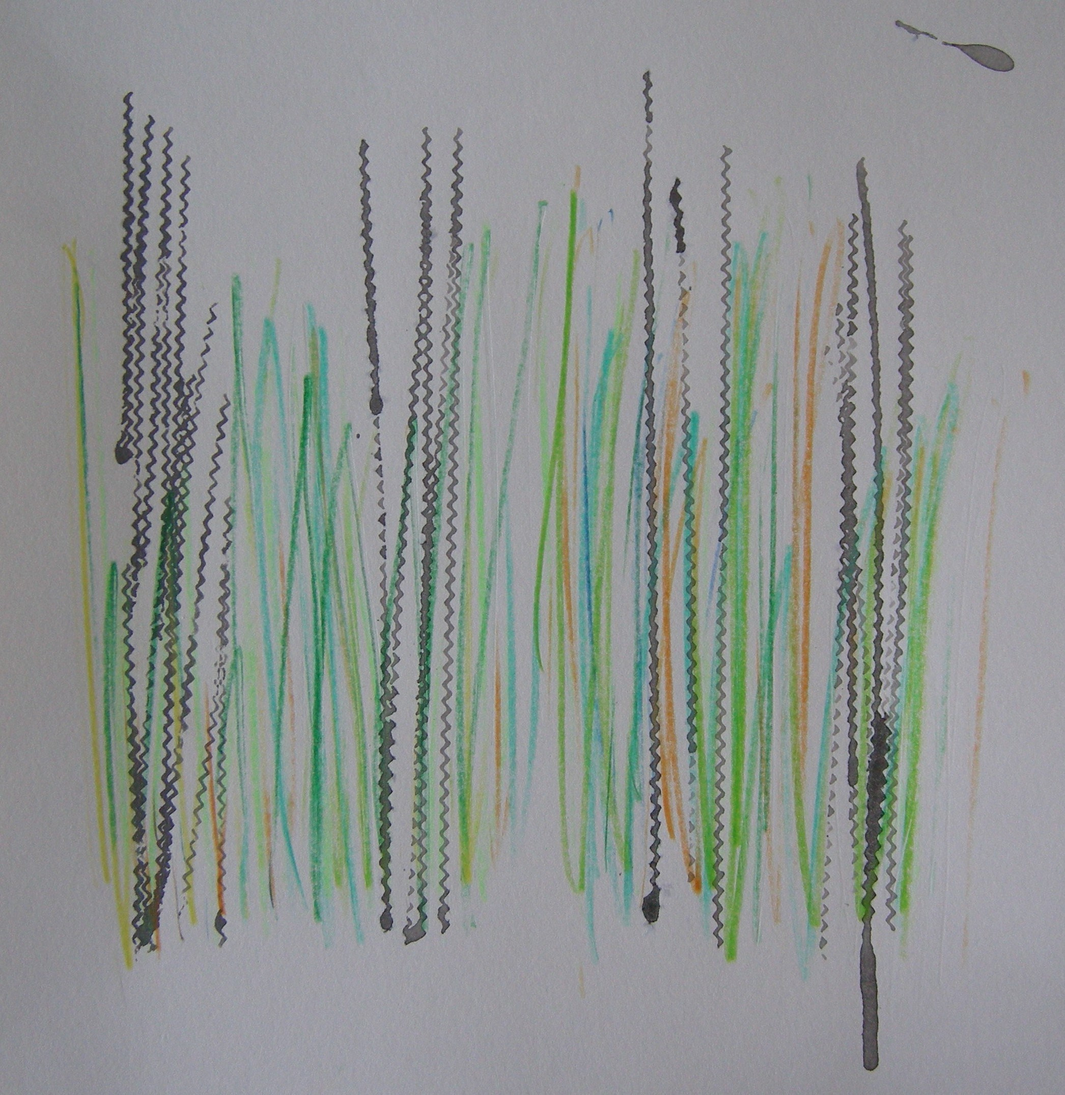 O.T. 2024 - 30x30