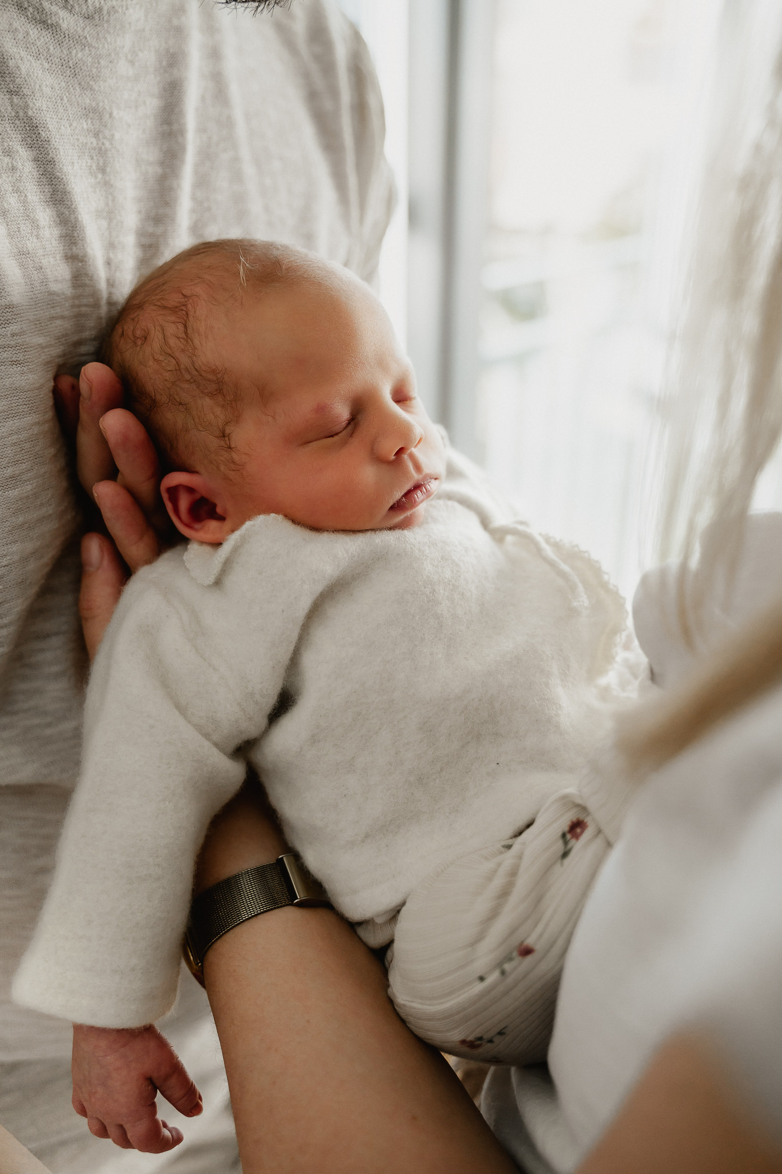 Newborn. Anastasia Kurbanov Photography