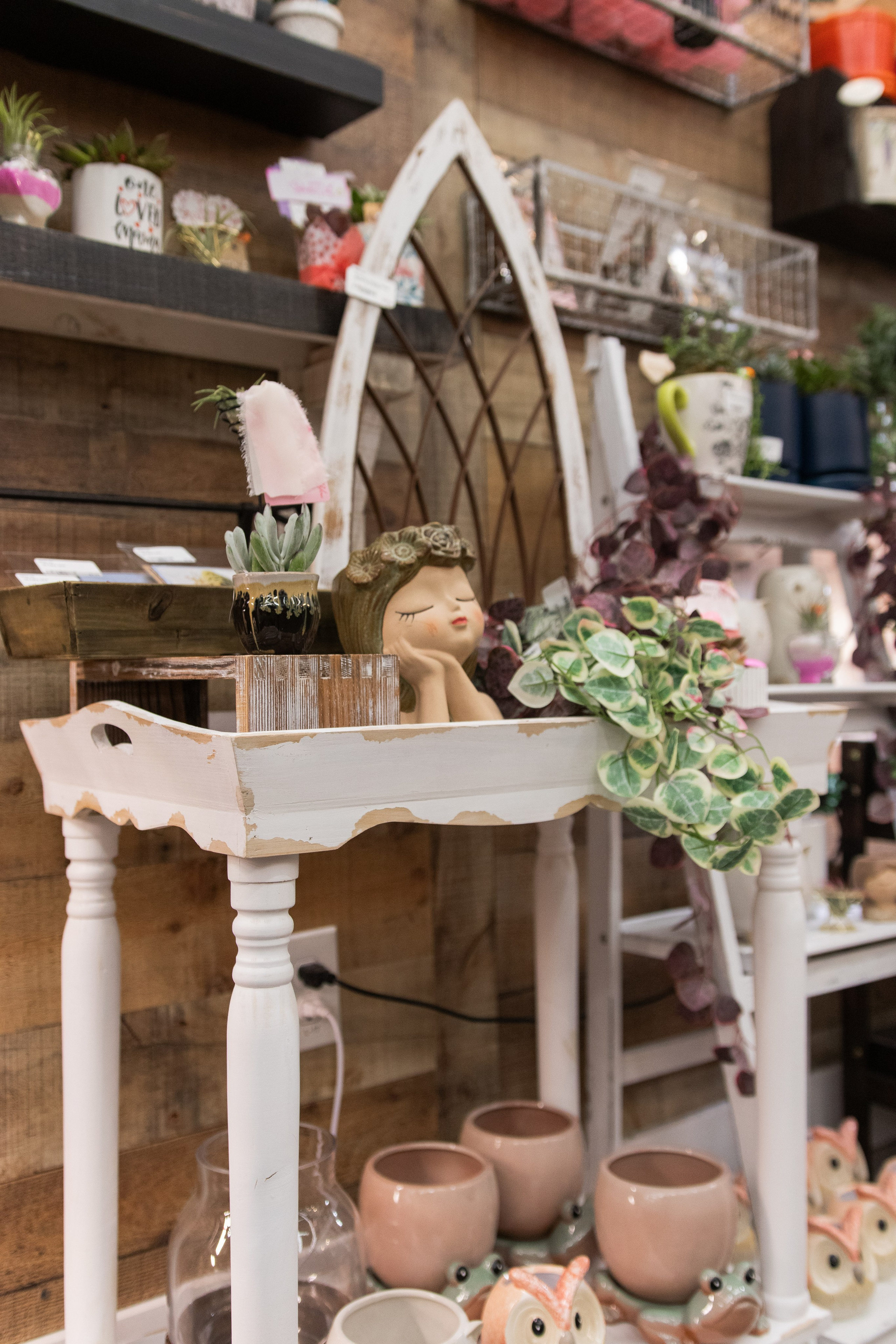 Painted Tree Boutiques winter 2026 retail collection photoshoot in Round Rock