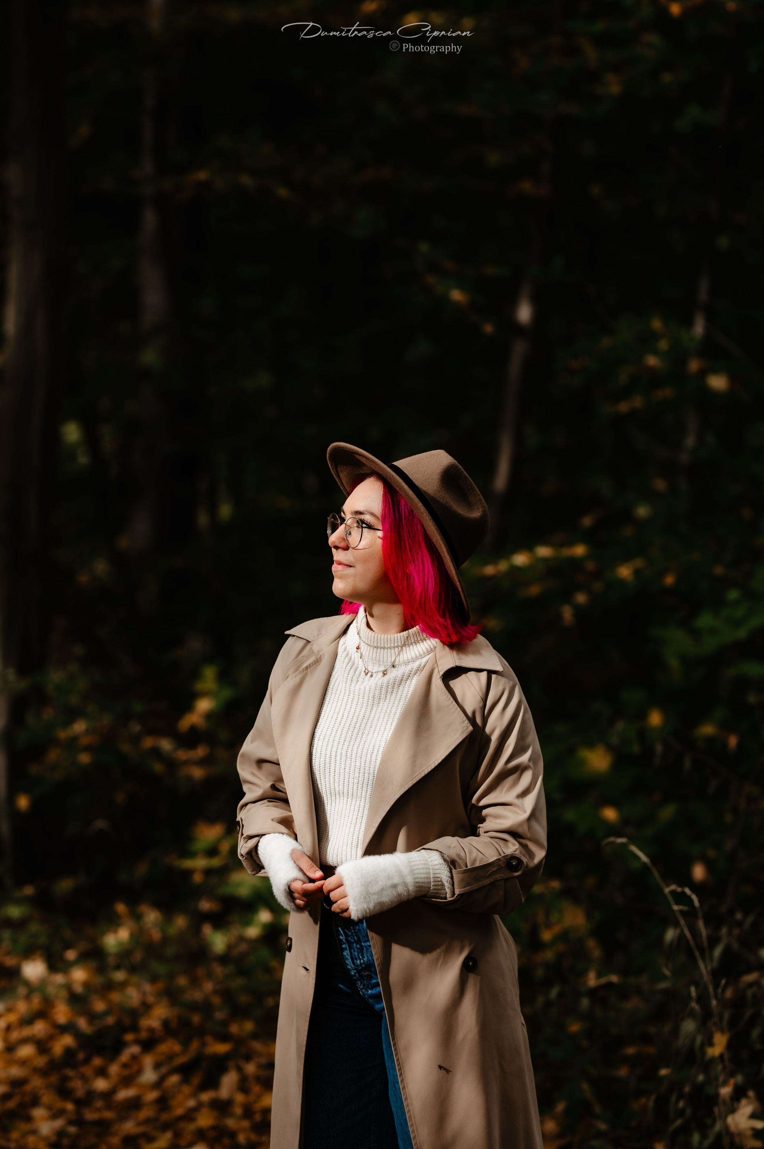 Fall in Light. Dumitrasca Ciprian Photography