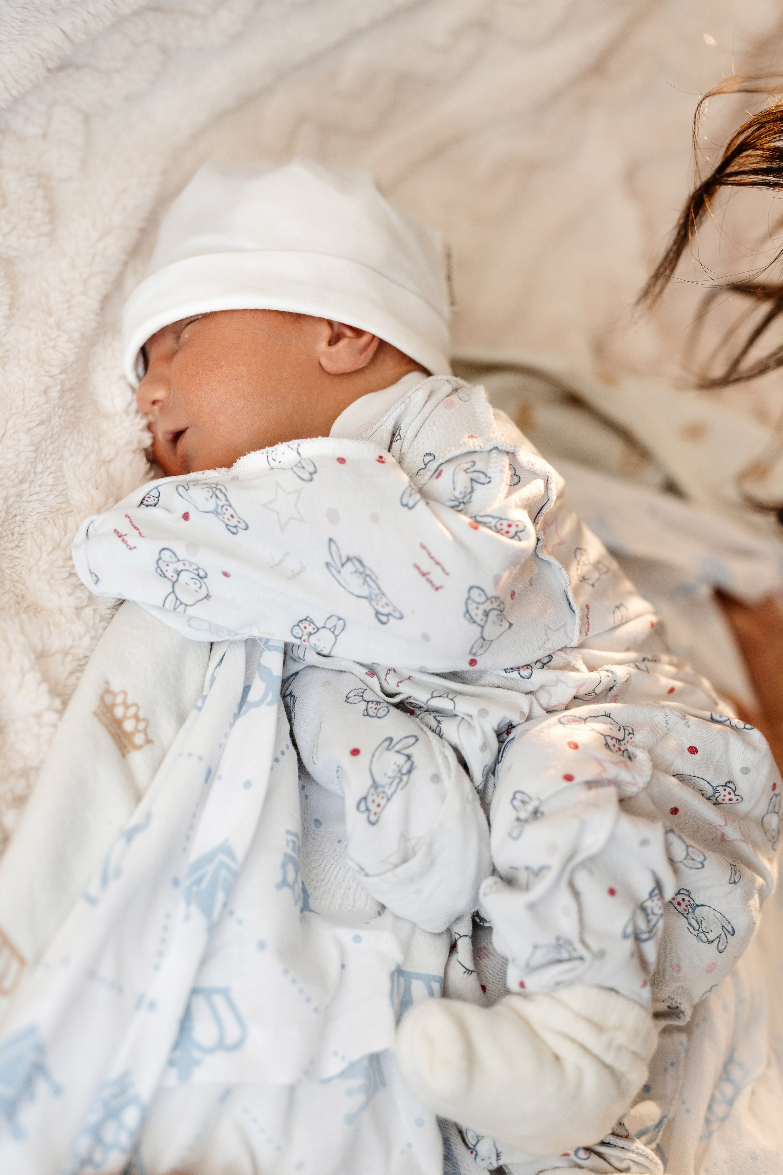 Vaniușa | primele zile de viață. Home