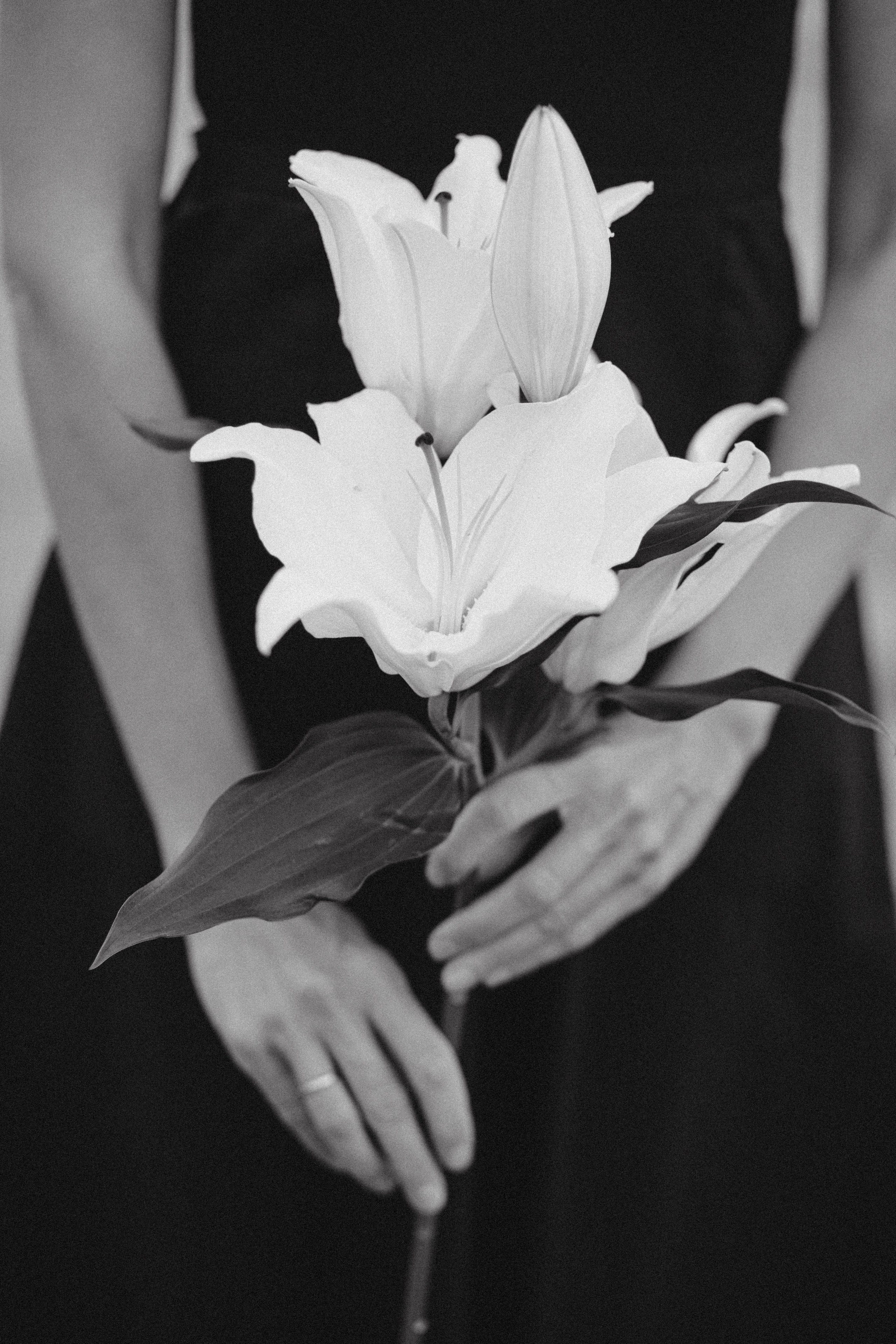 Катя с лилией. Фотограф Мила Ромашкина