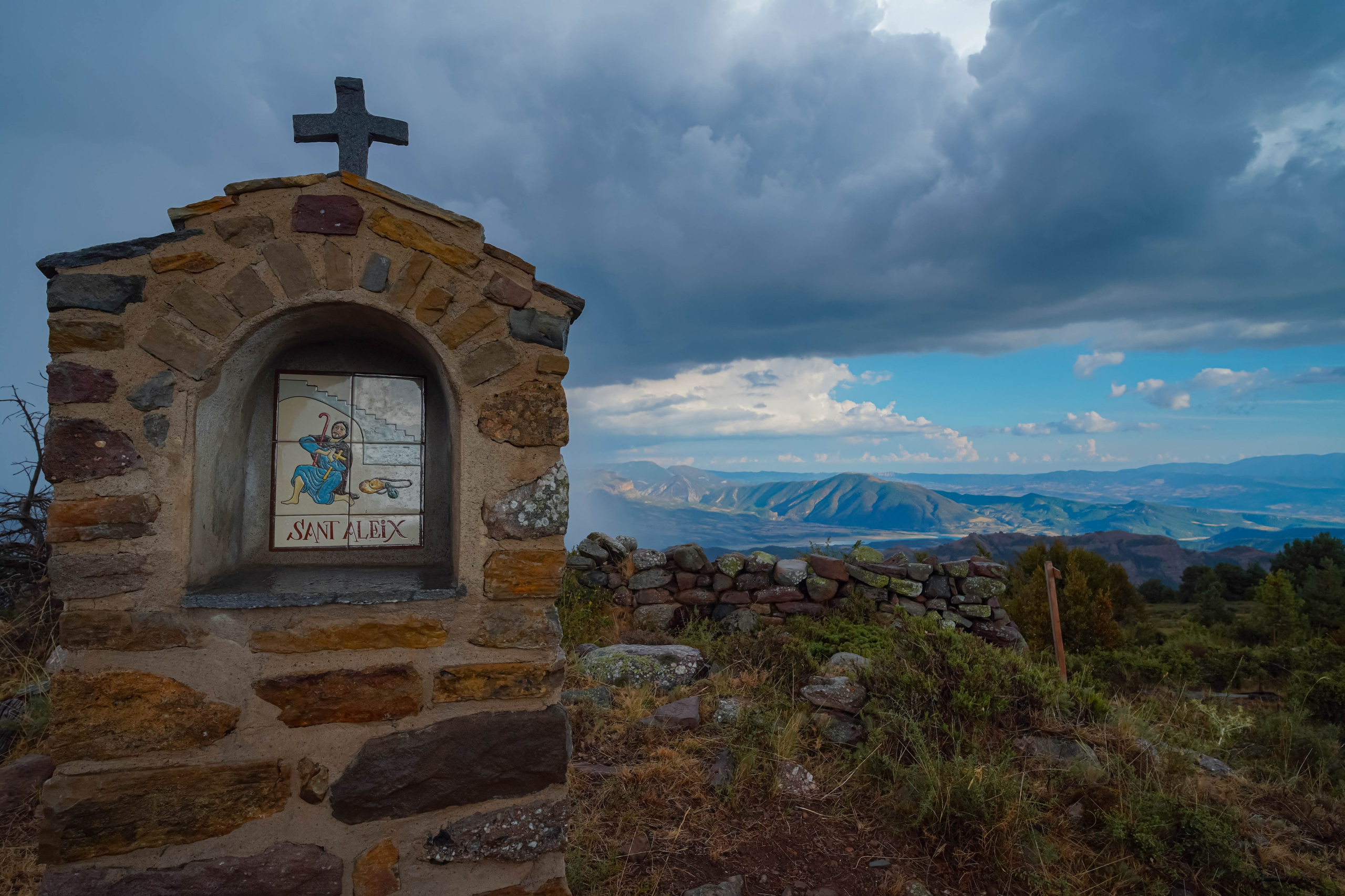Lila. Alba del Norte Studio