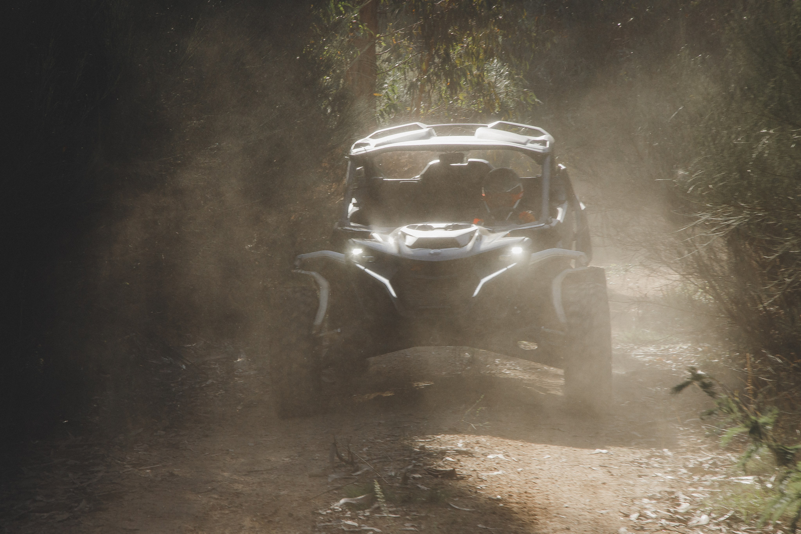 Reportage sport. Wedding photographer and videographer Europe