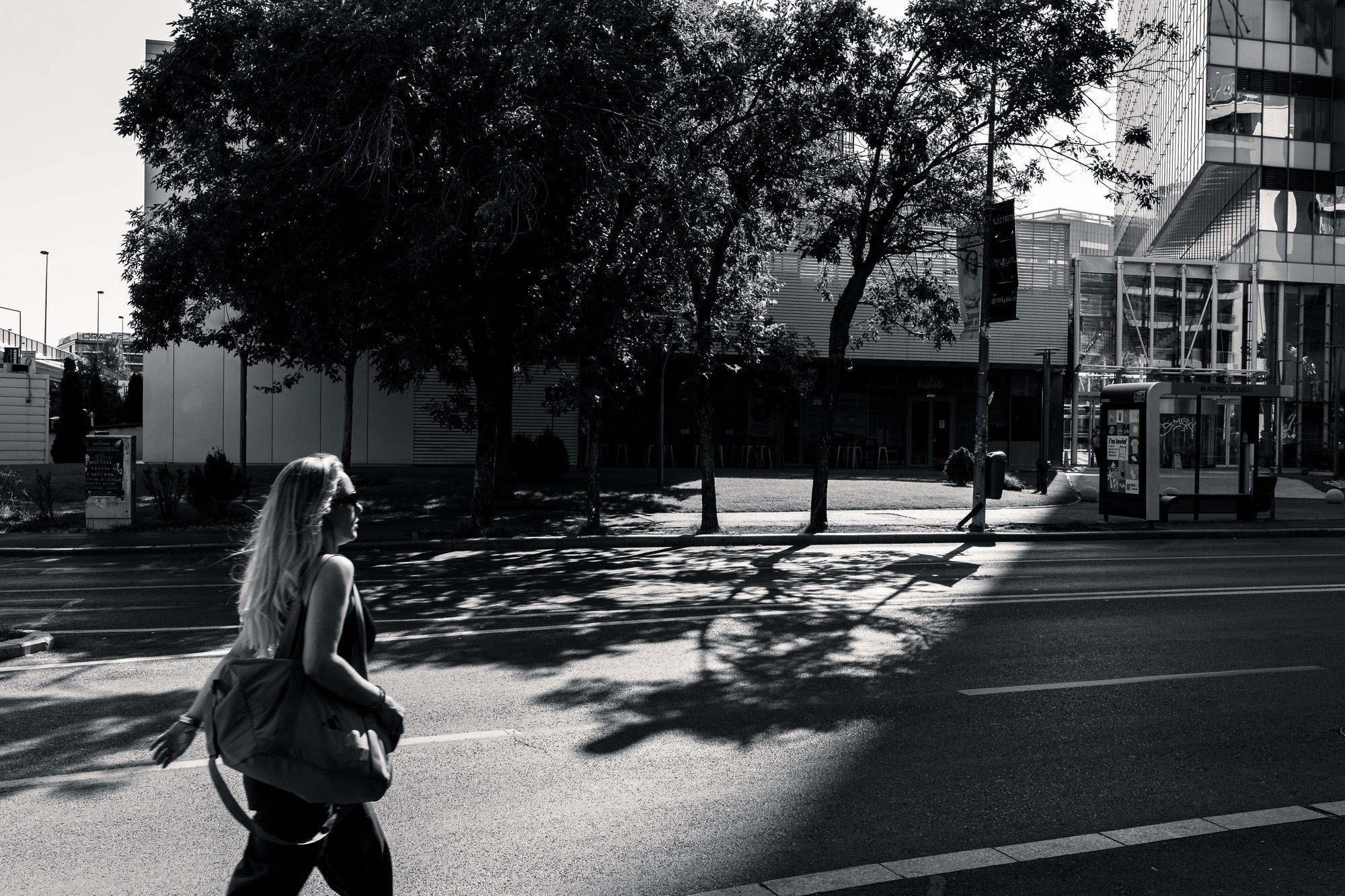 Monochrome. A Creative Insight | Catalin Nastase