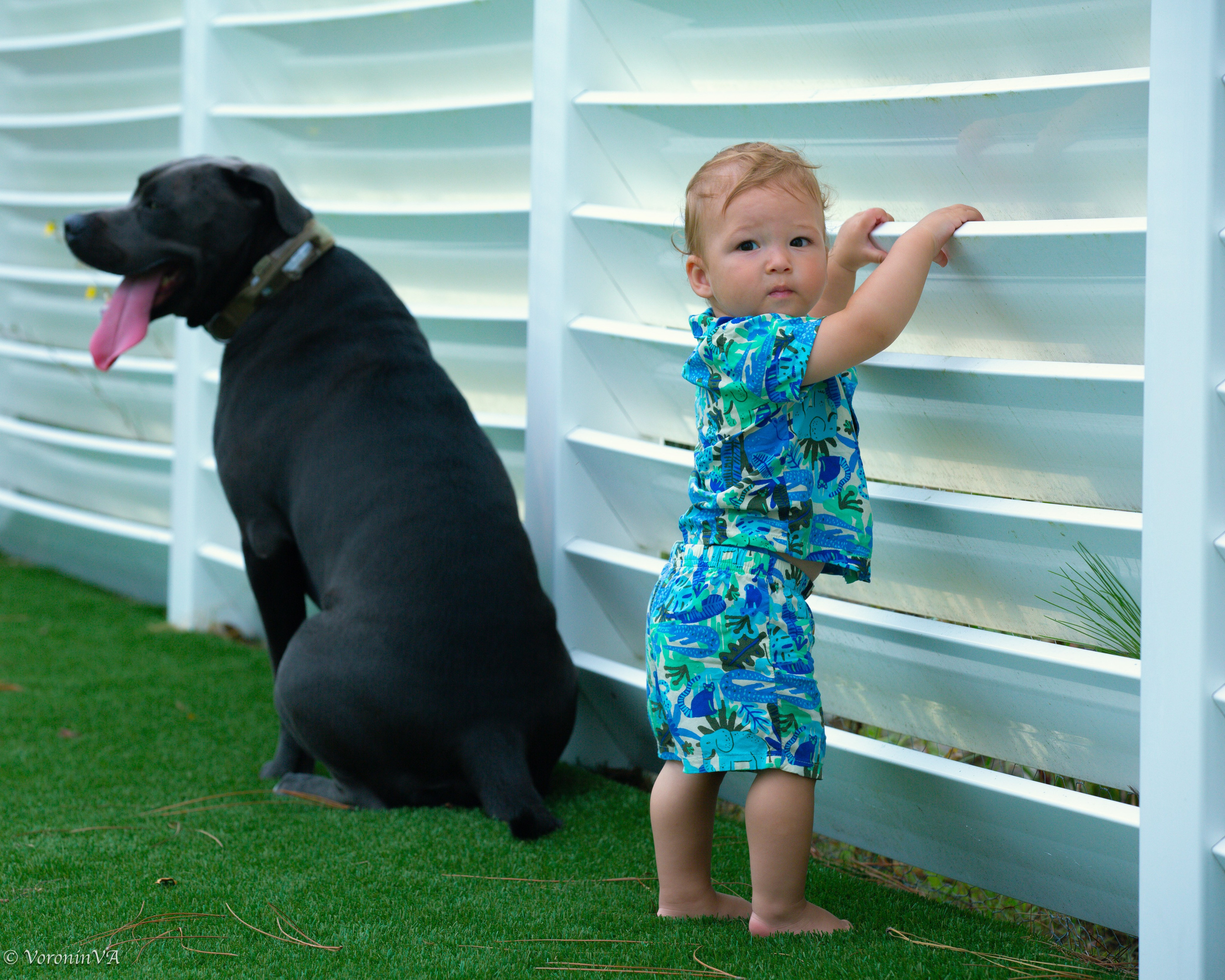 Children’s Portrait Session — Pure, Joyful, Timeless. Photographer St. Augustine
