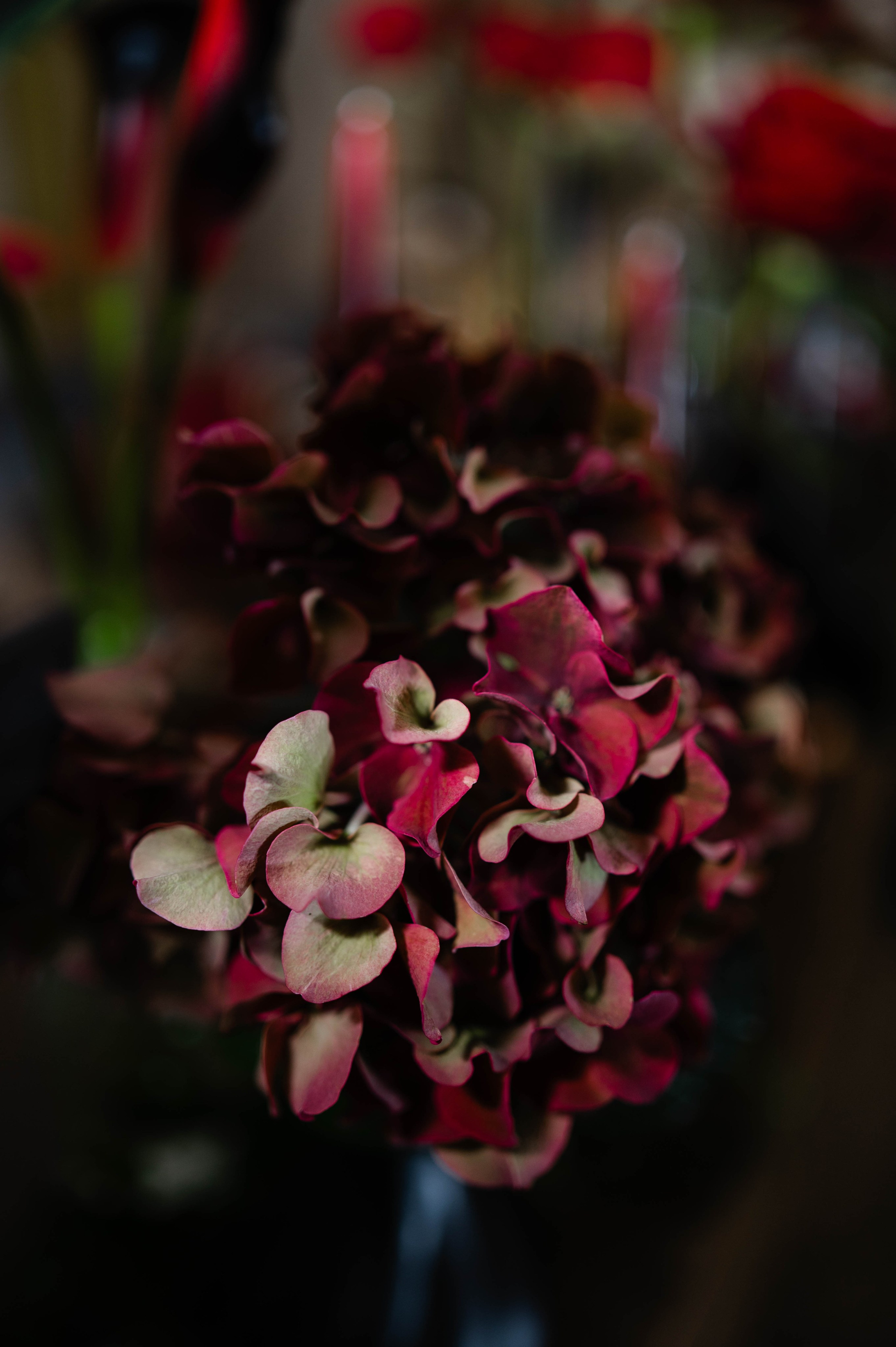 Cristina + Dan | Autumn Wedding. Alexandra Hanu Photographer