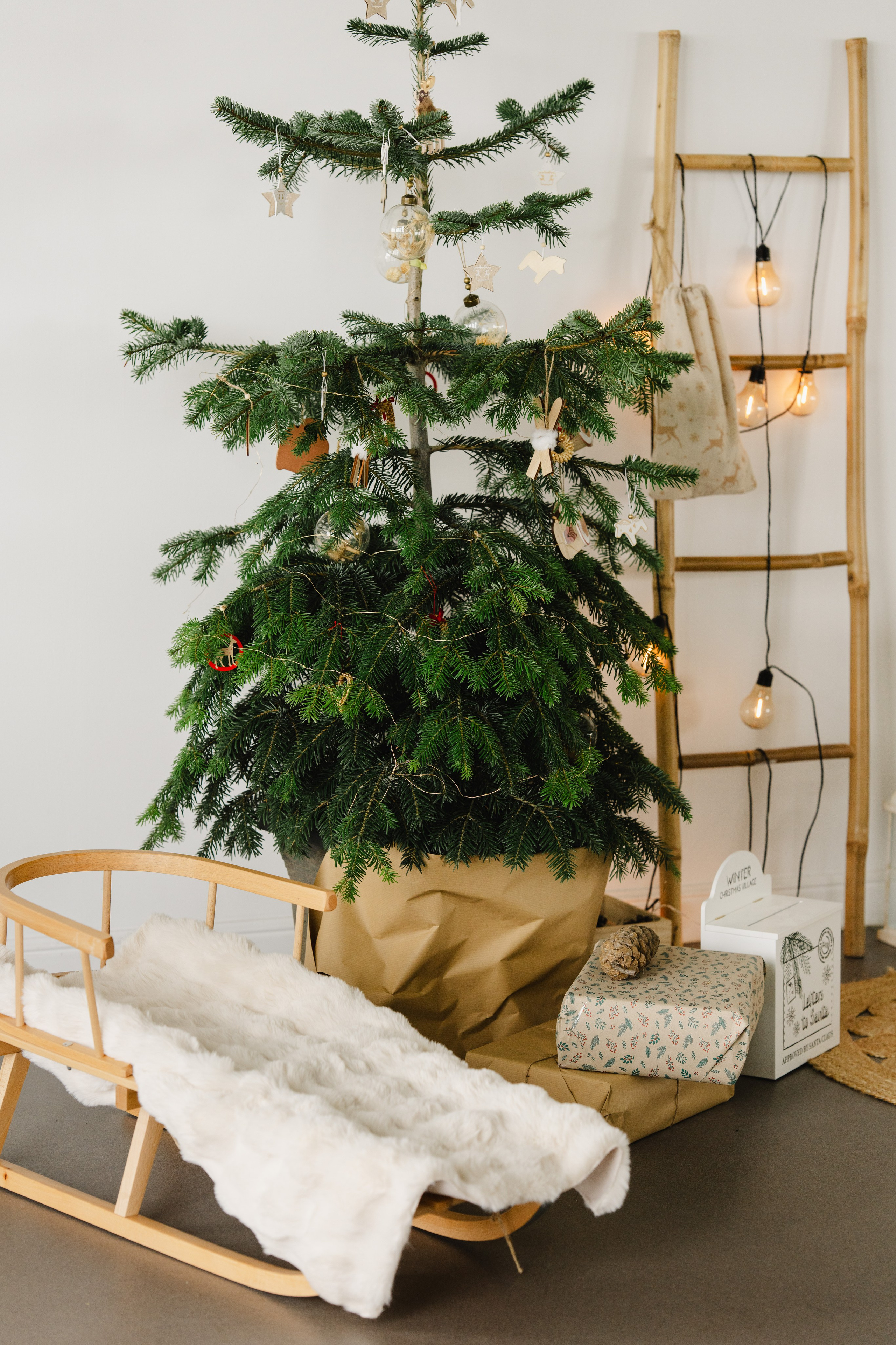 Studio Sunset Barn (Balaceanca). Fotograf evenimente. Fotograf nunta. Fotograf Botez. Mihaela Savu