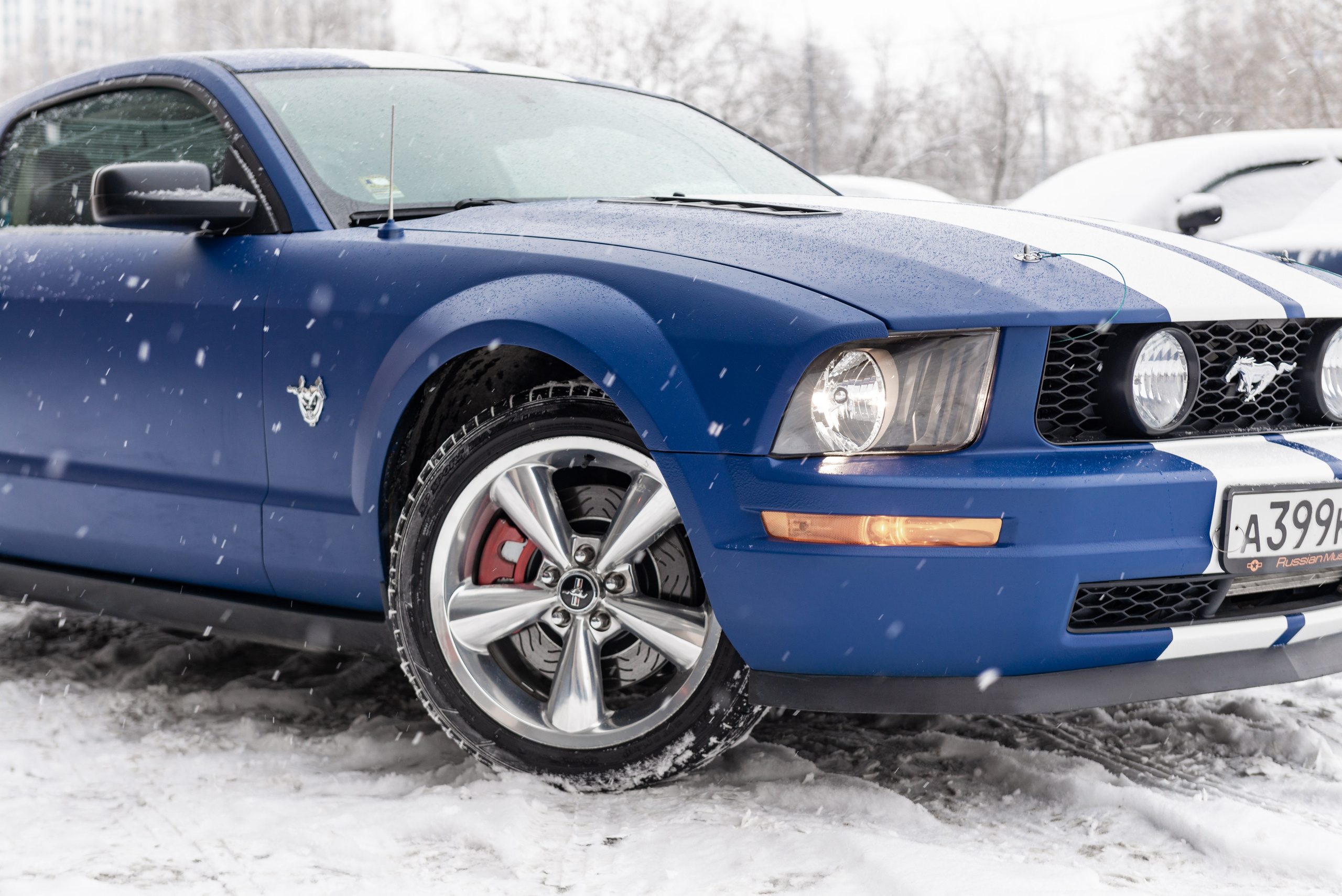 Фотосъемка Ford Mustang для продажи. ФОТОГРАФ МЕКСИКА КИНТАНА-РОО